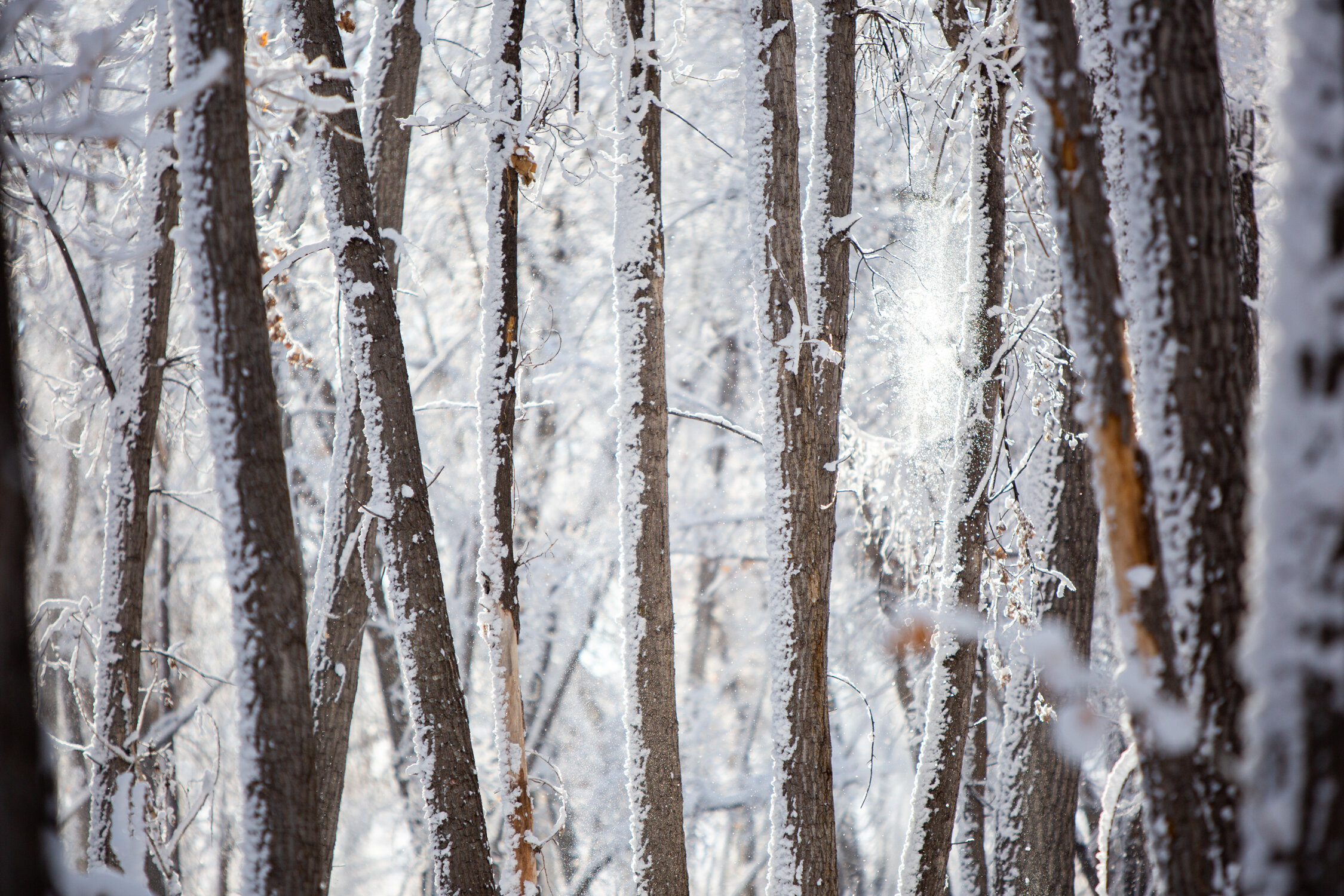 Mar 19 Add Med-12.jpg