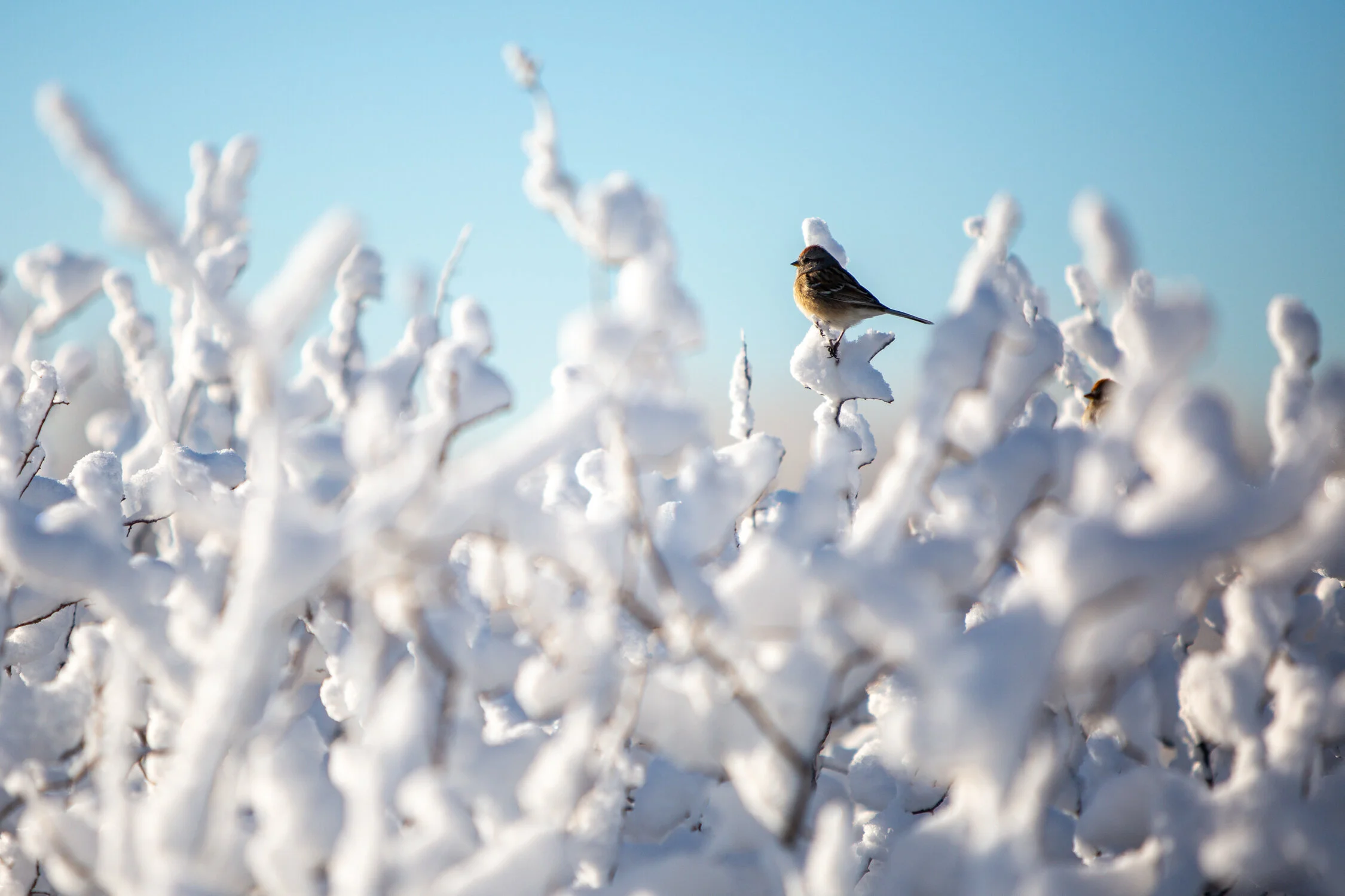 Mar 19 Add Med 1-5.jpg