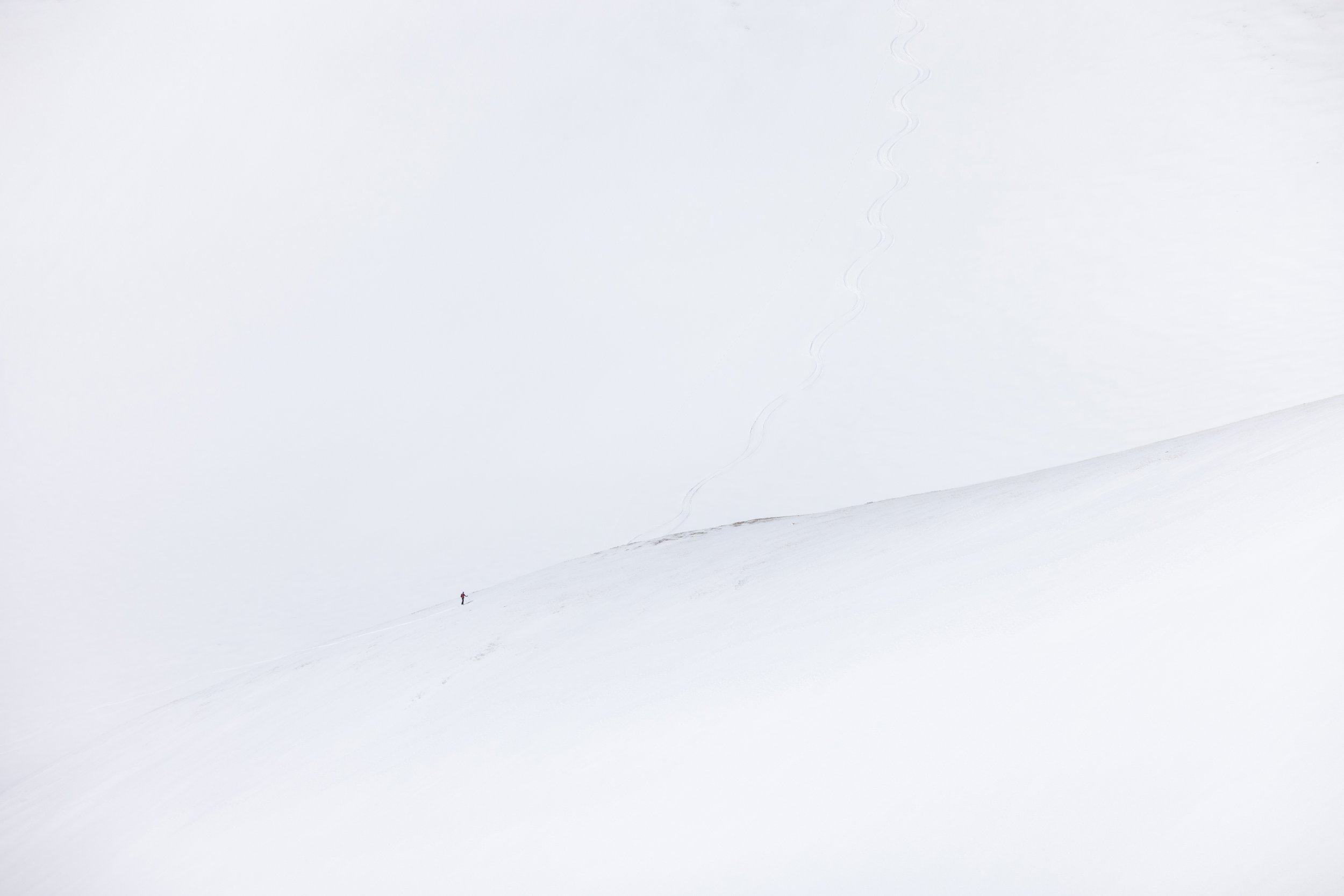 What Goes Up, Mt. Woods, CO, 2023