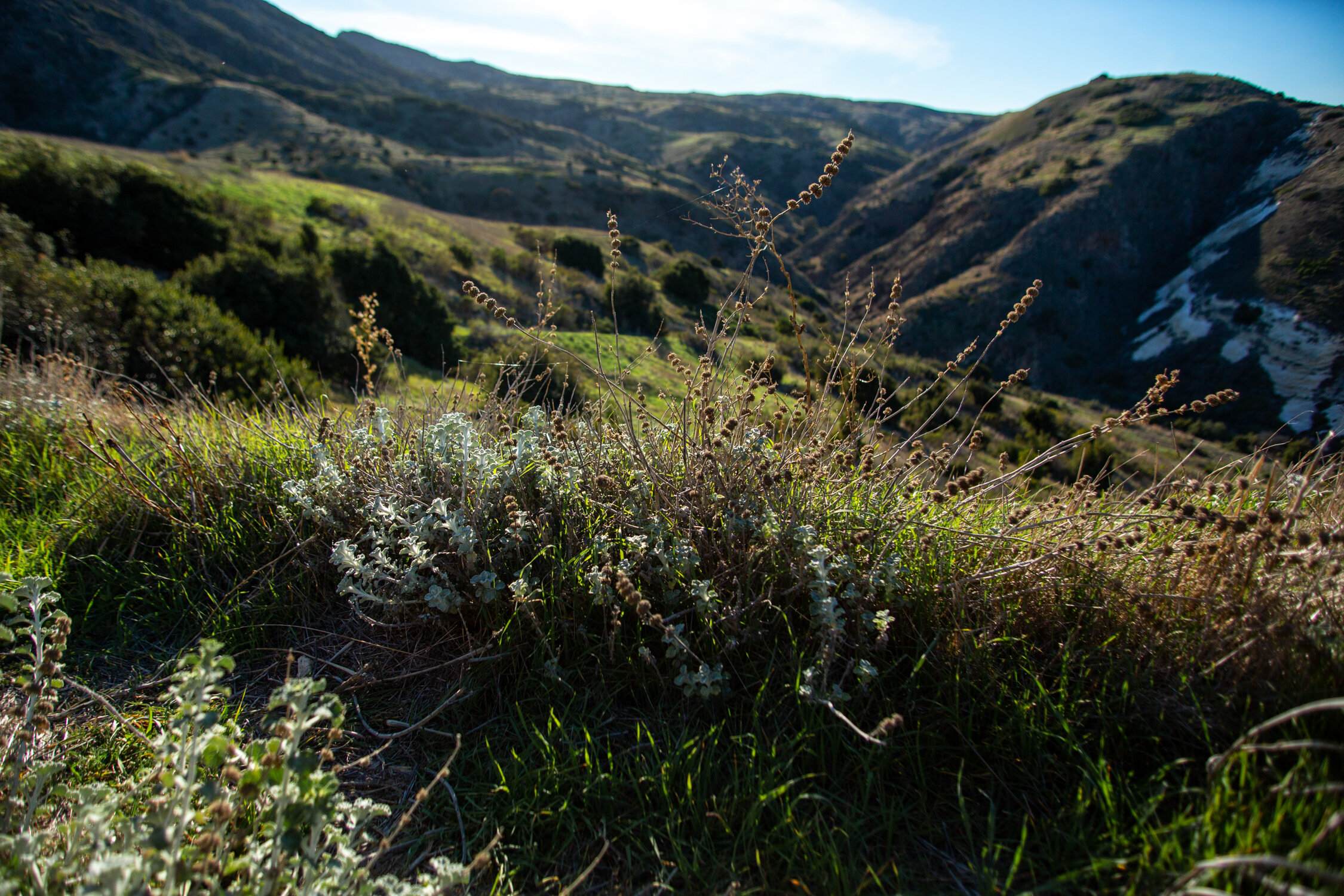 Mar 19 Add Med-22.jpg