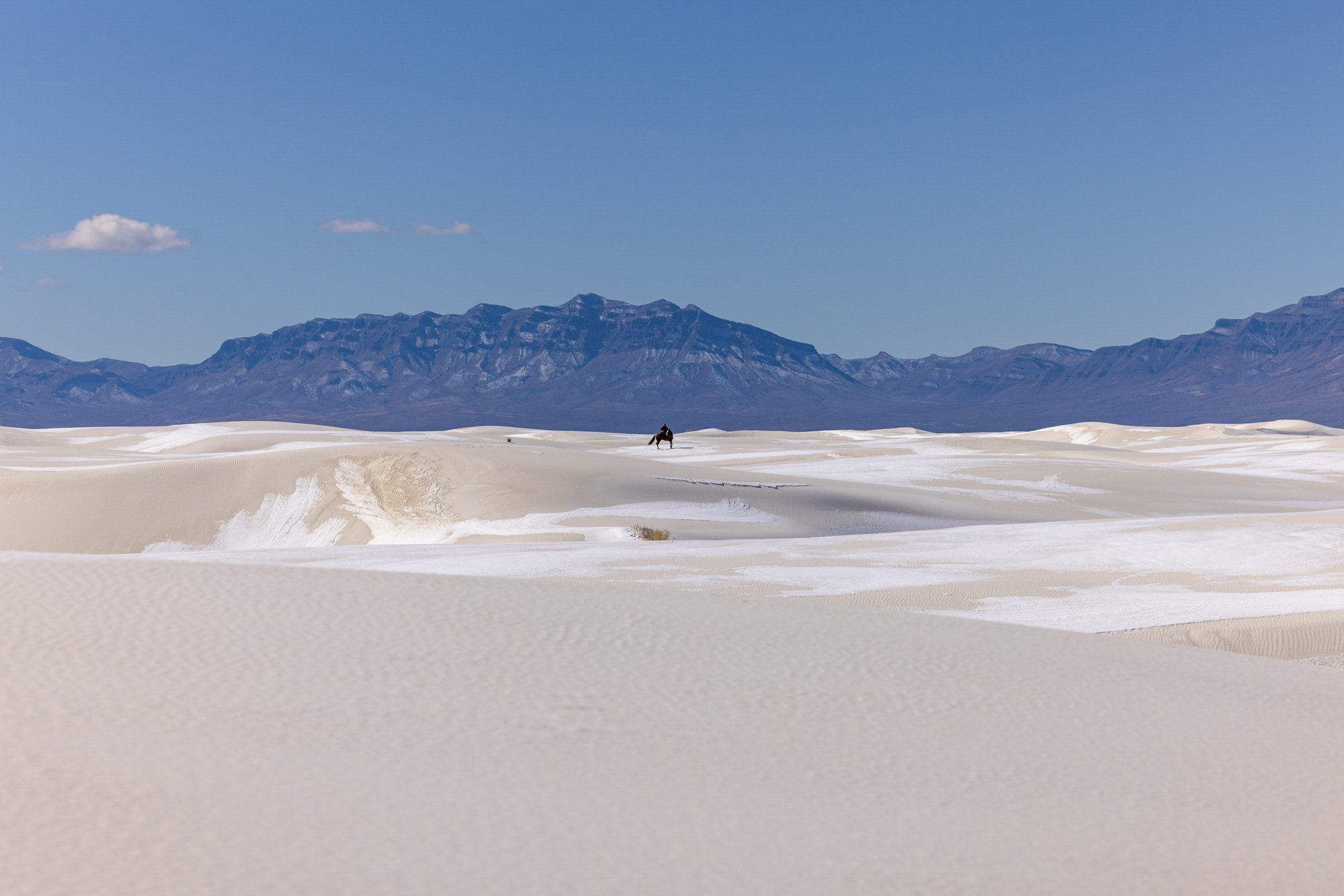 KeirnsD_On A Horse With No Name.jpg