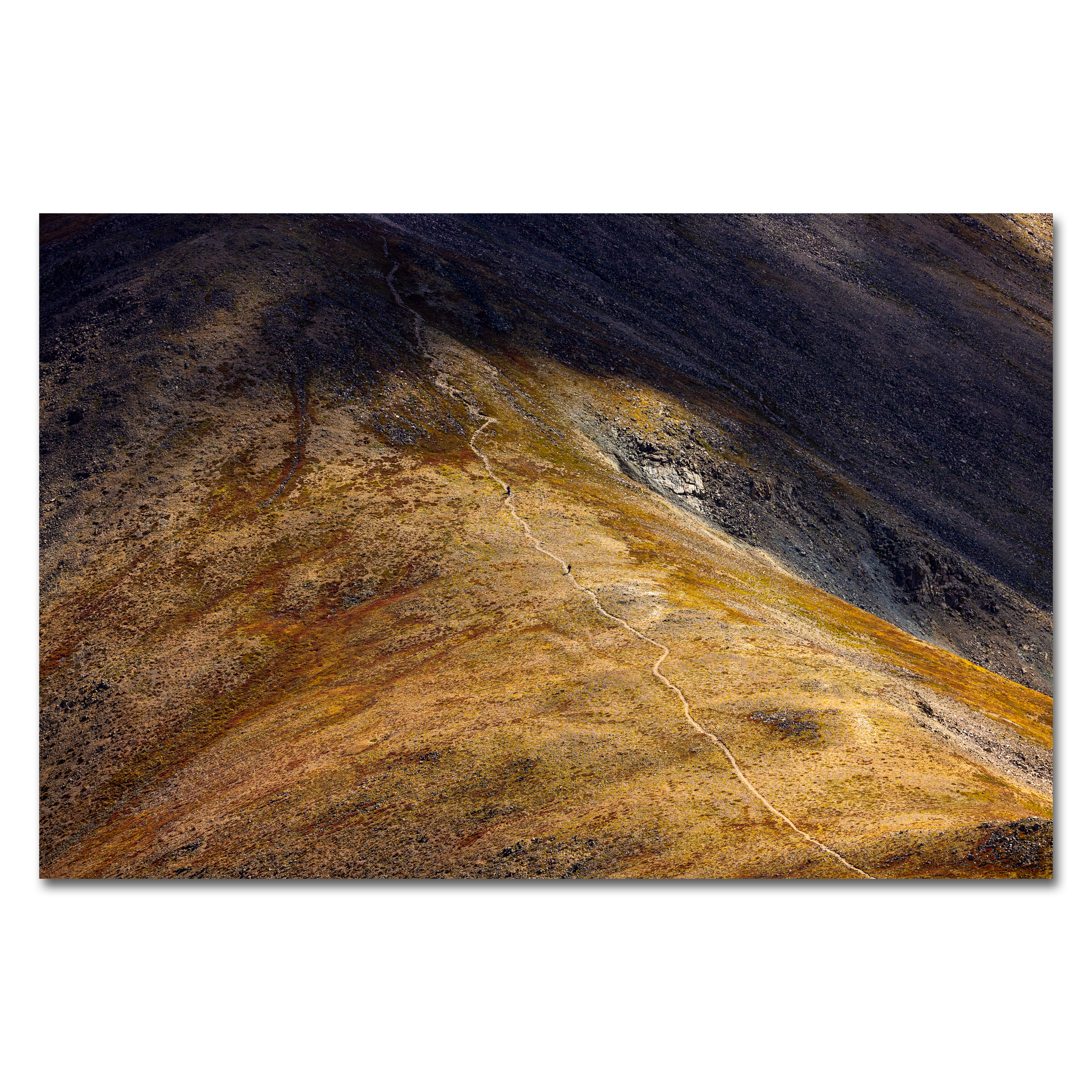Ant Hill