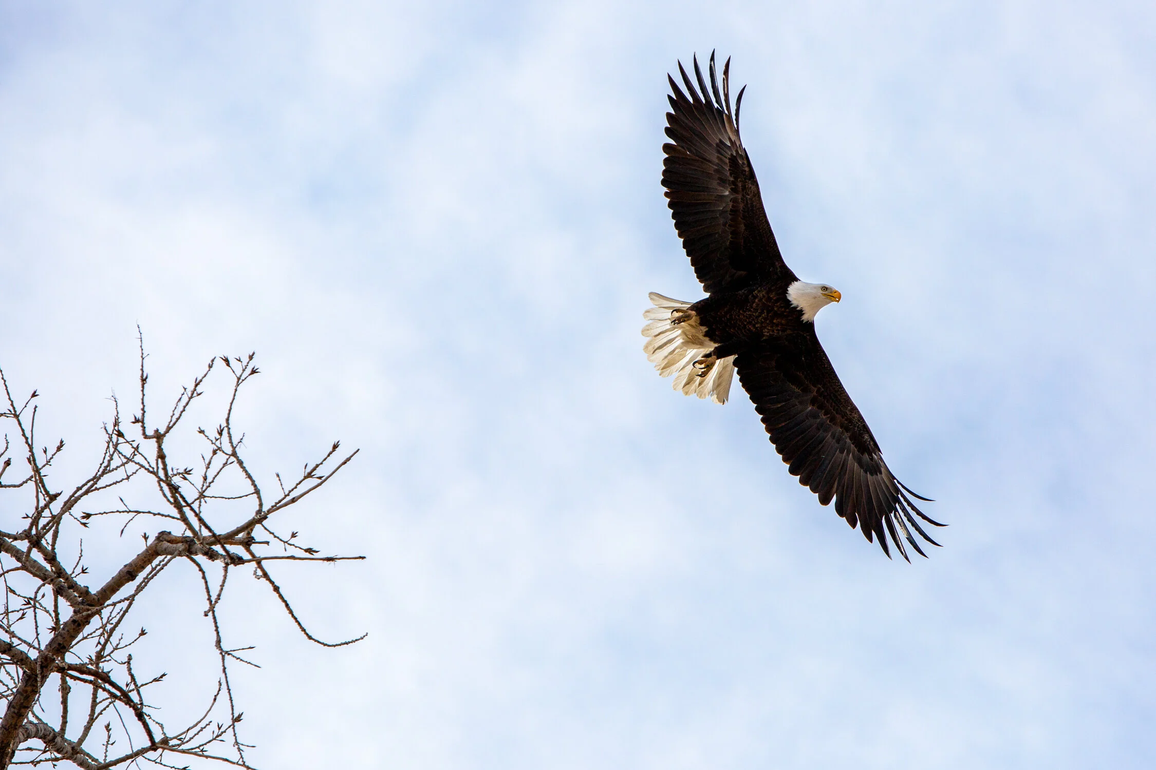 Mar 19 Add Med-7.jpg