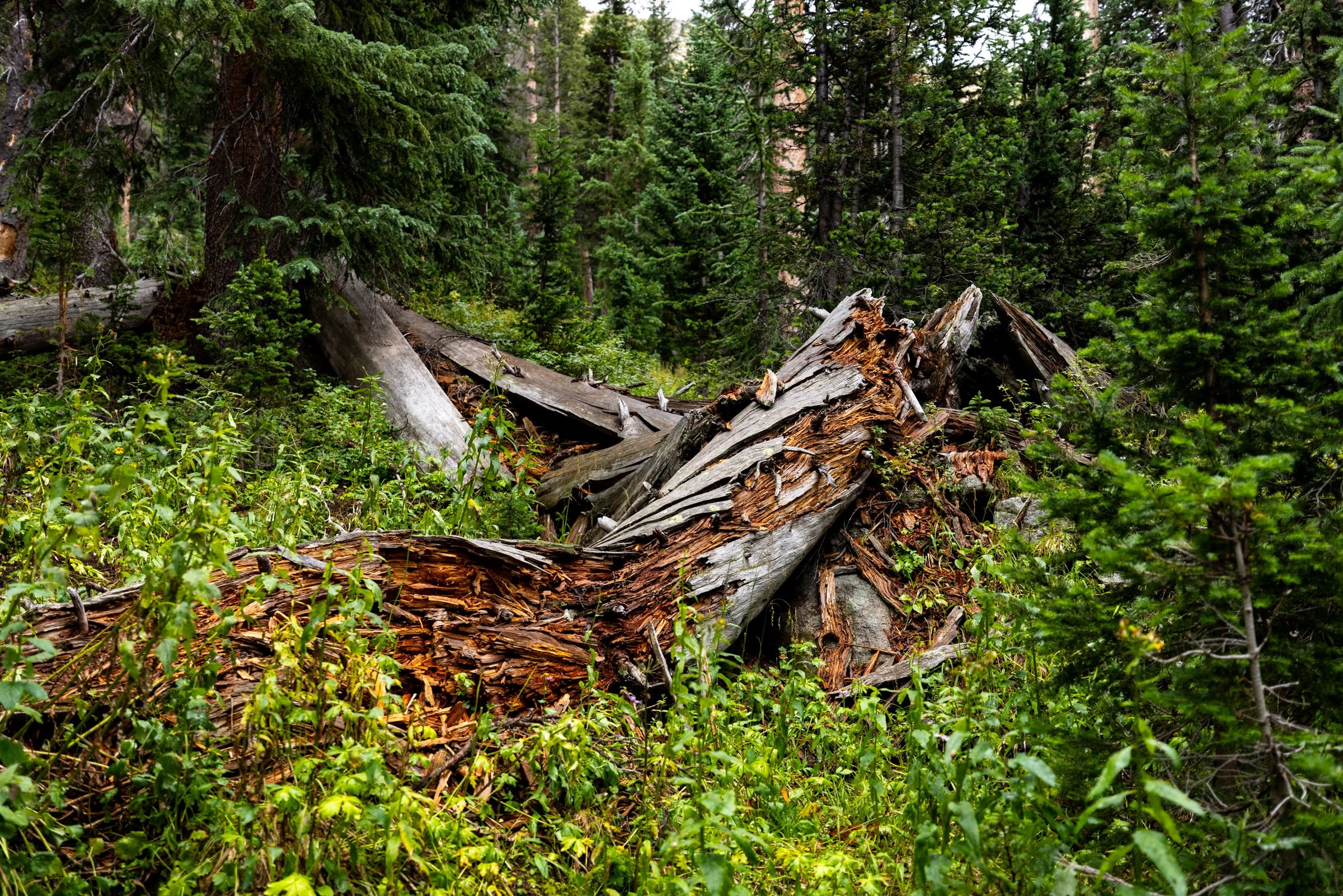 Dustin_Keirns-20.jpg