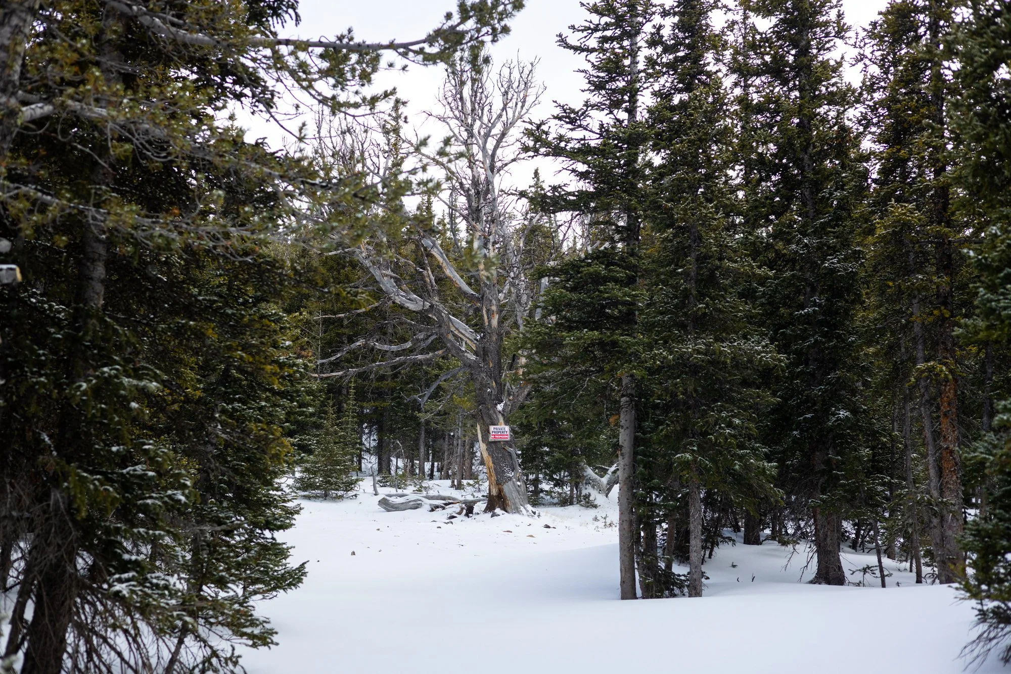 Posted Boundary, Brainard Lake Recreation Area, CO 2026
