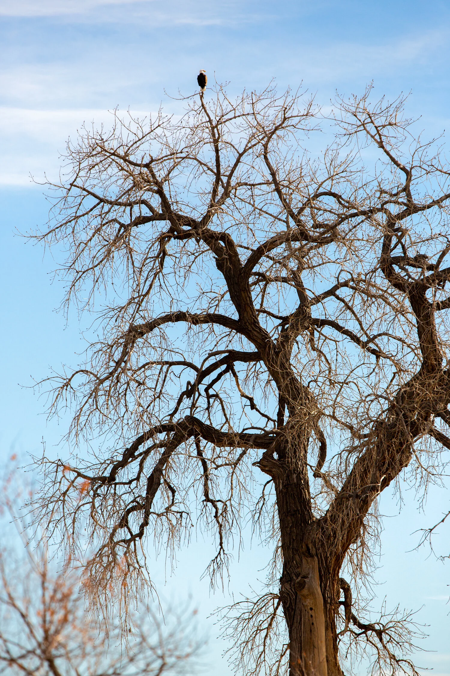 Mar 19 Add Med 1-4.jpg