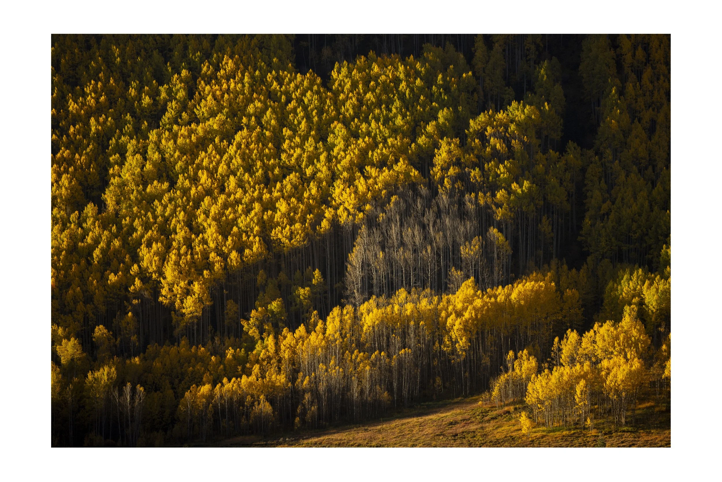 Stand Up Straight, Vail, Gore Range, Colorado, 2023
