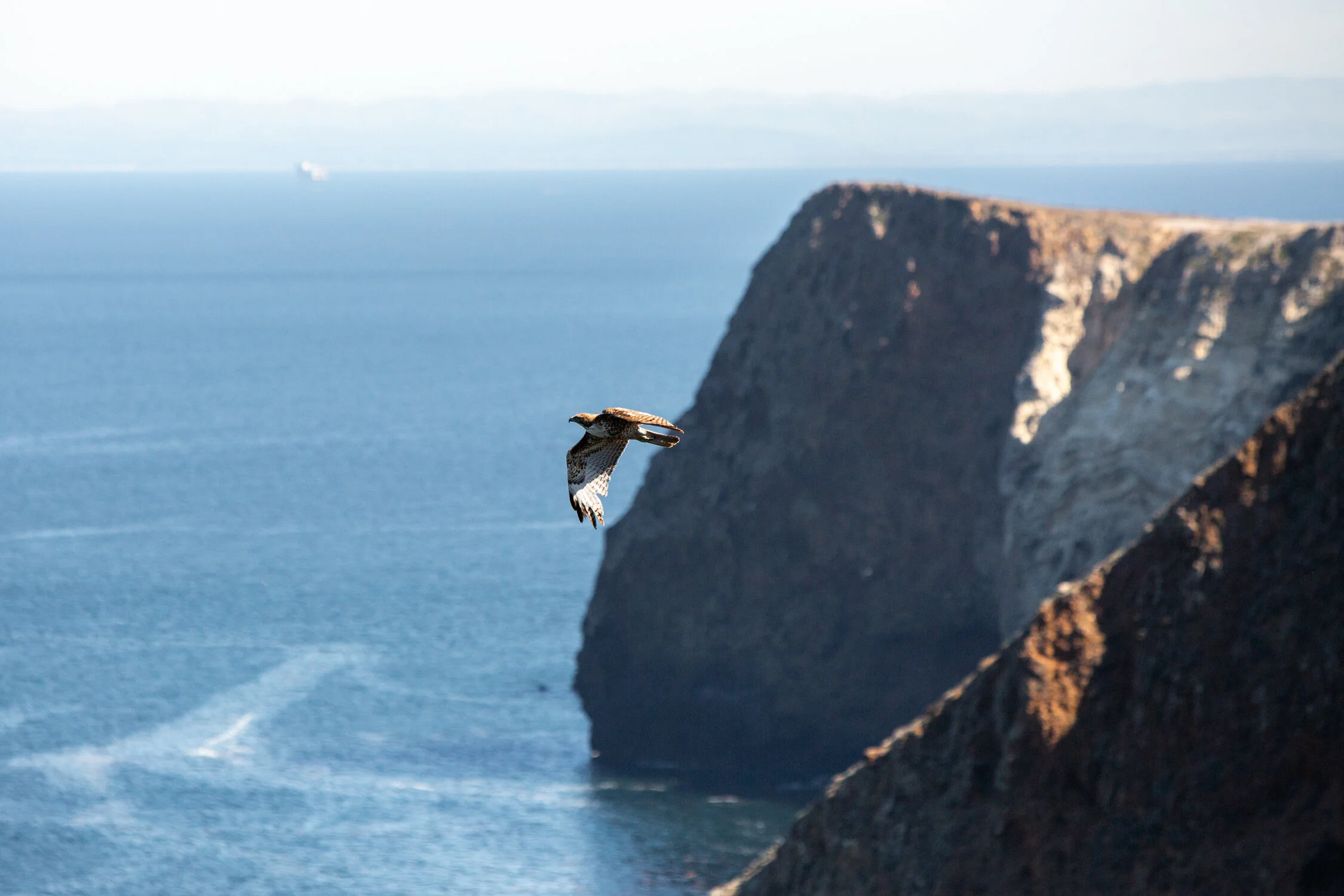 Mar 19 Add Med-50.jpg