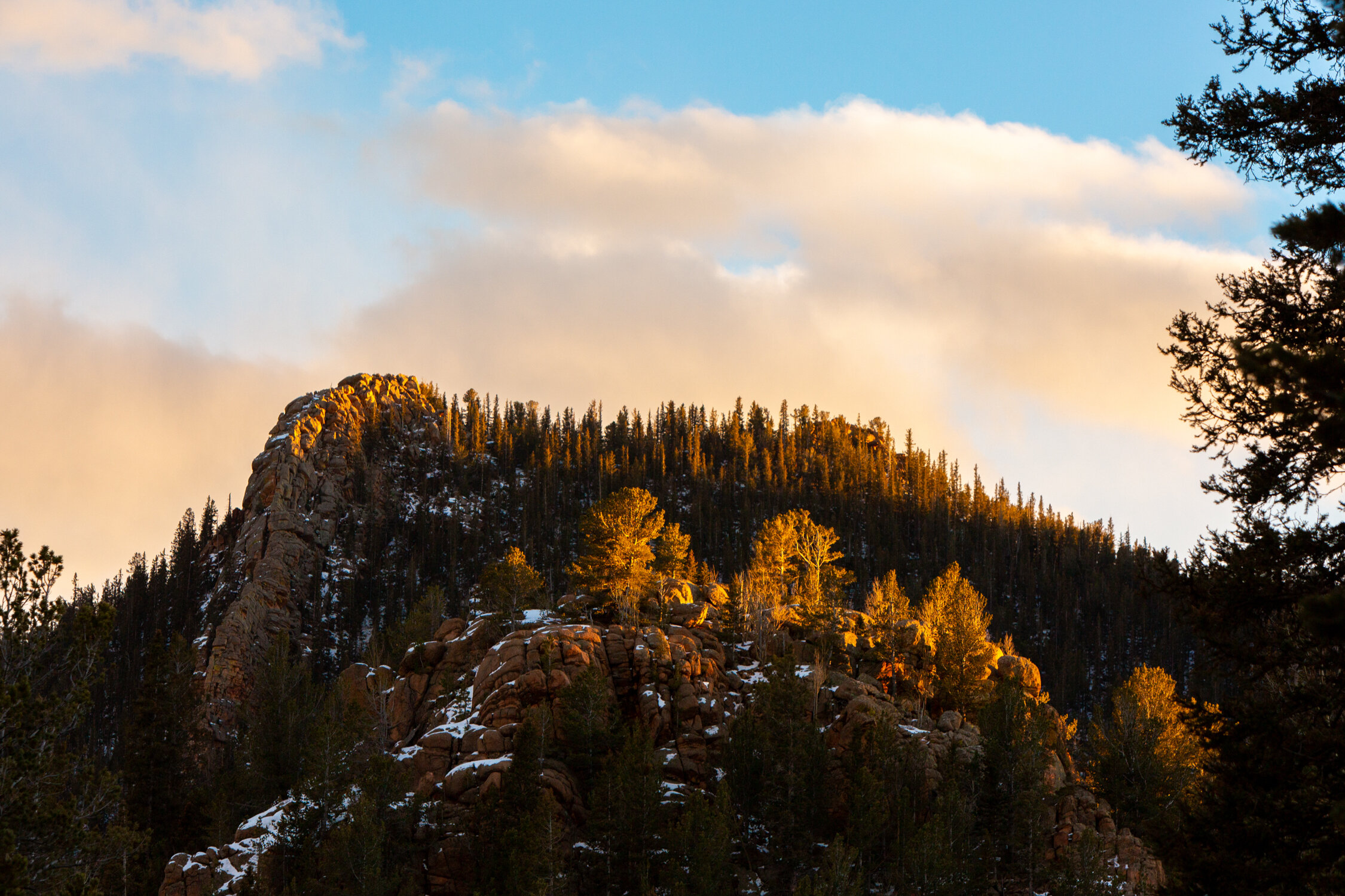 Mar 19 Add Med-6.jpg