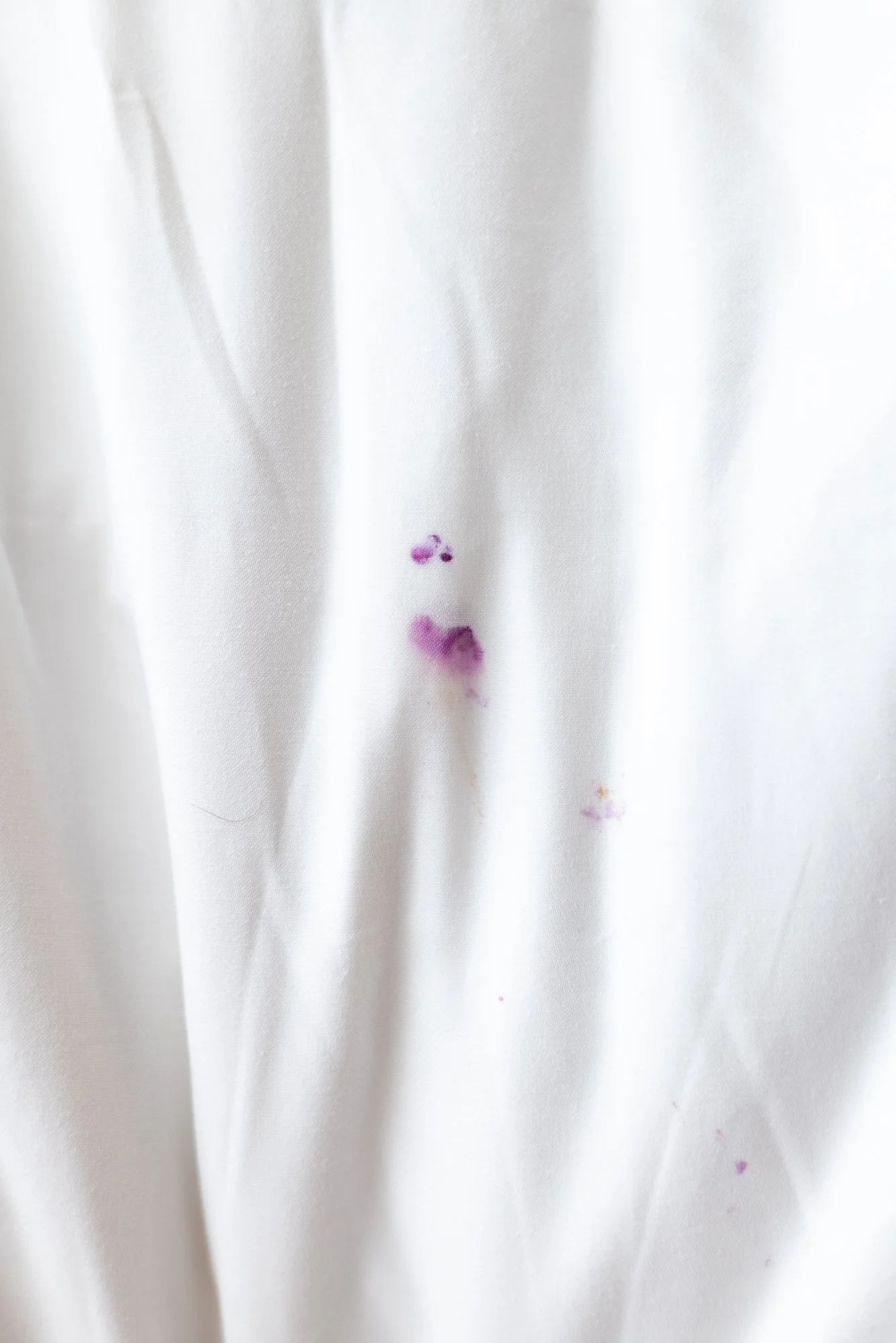 Blueberries-11.jpg
