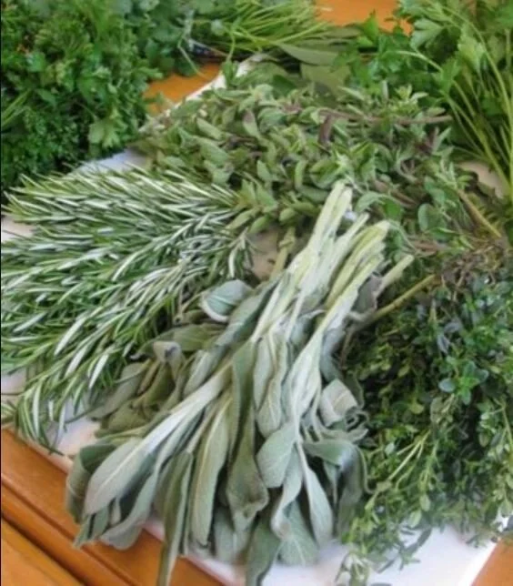 Growing Herbs