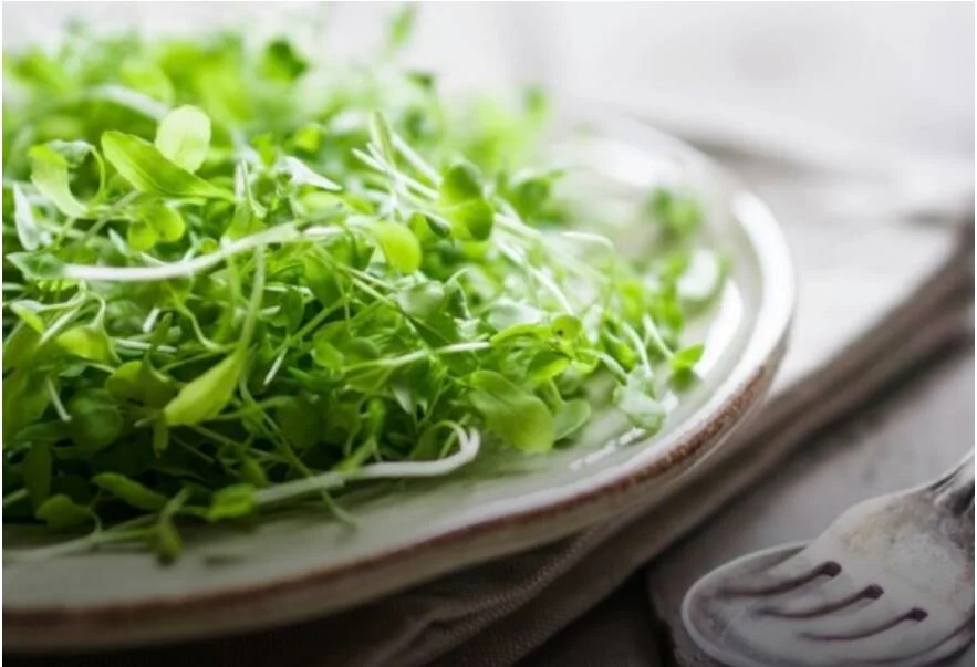 Cooking with Microgreens