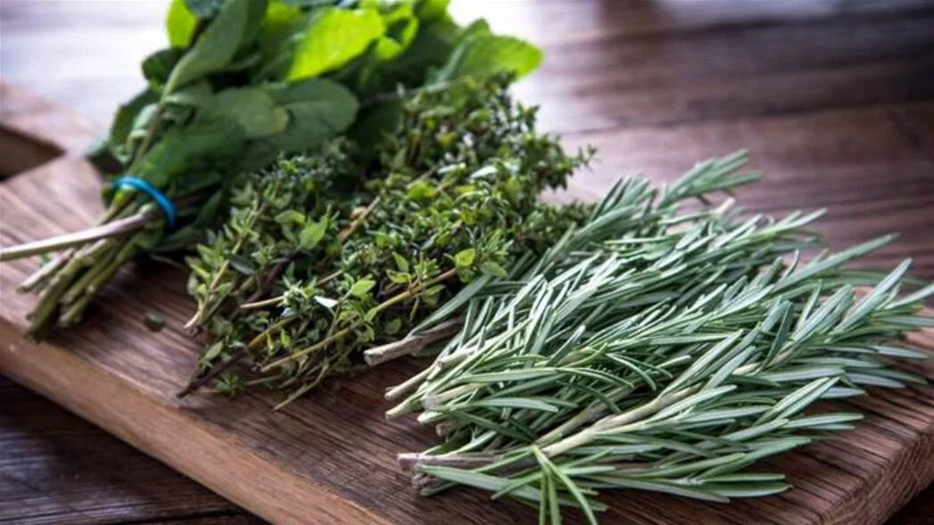 herb5.JPG