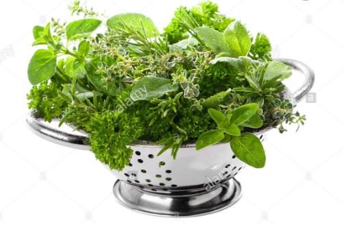 herb2.JPG