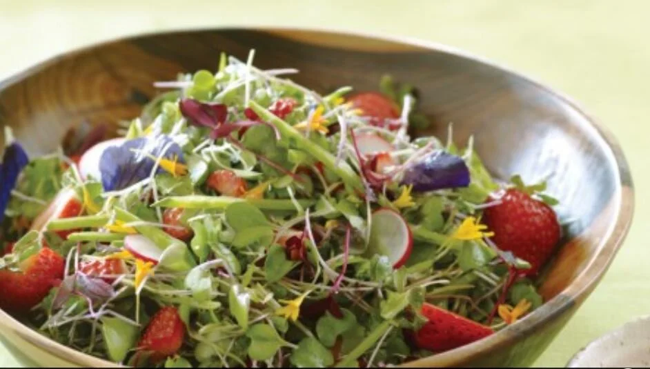 Microgreens Salad
