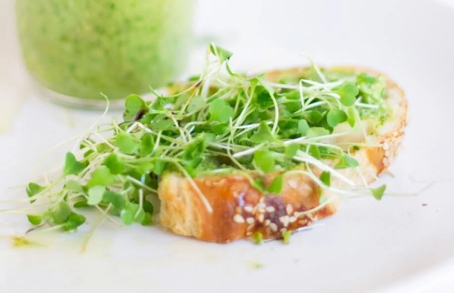 Toasted Bread with Pesto Sauce and Microgreens