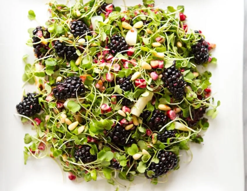 Microgreens Salad with Blackberries