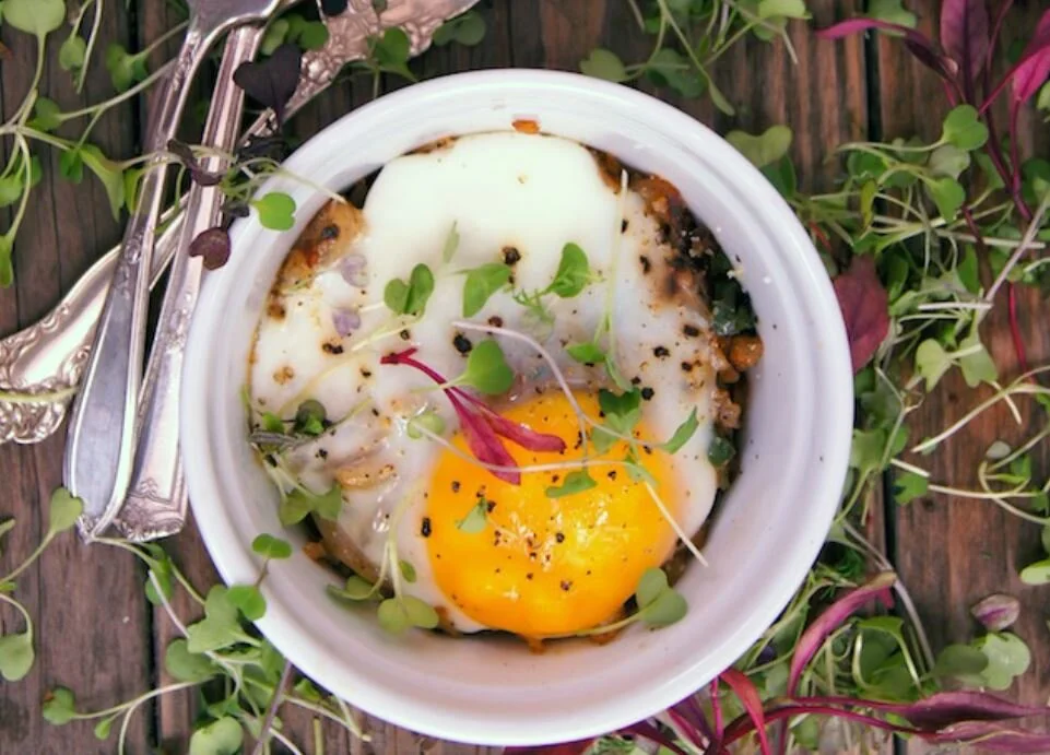 Poached Egg with Microgreens