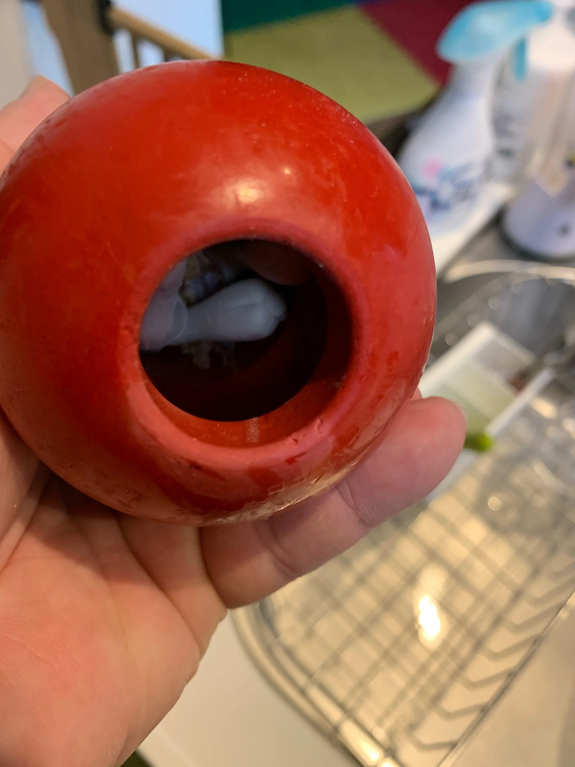 “The food bowl of frustration and annoyance”これがイライラコング。ゴムが固いから僕みたいに強い歯がないとなかなか中のおやつがとれないんだ。