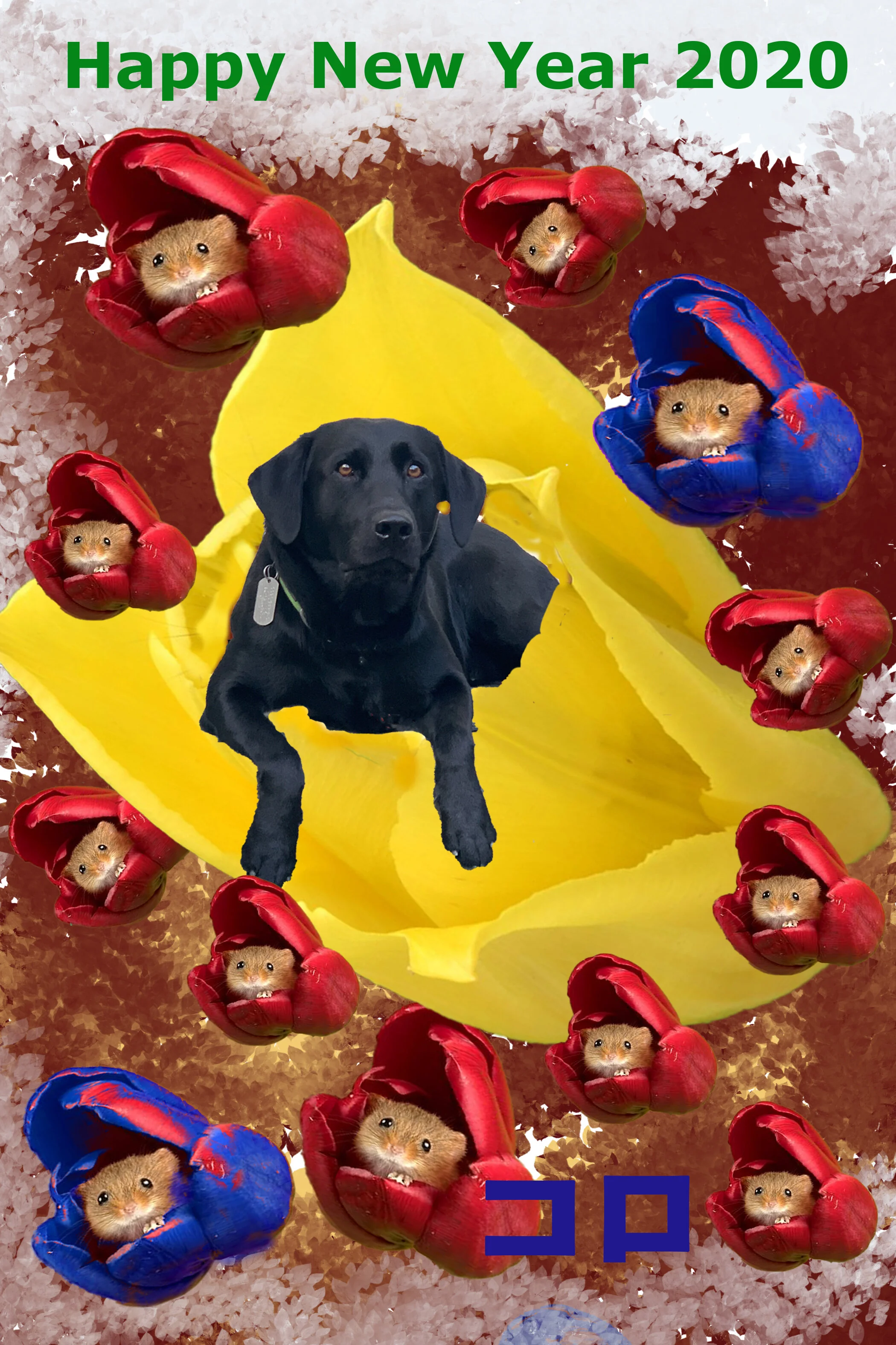 Welcome to the Year of the Mouse!　今年はネズミ年だね！