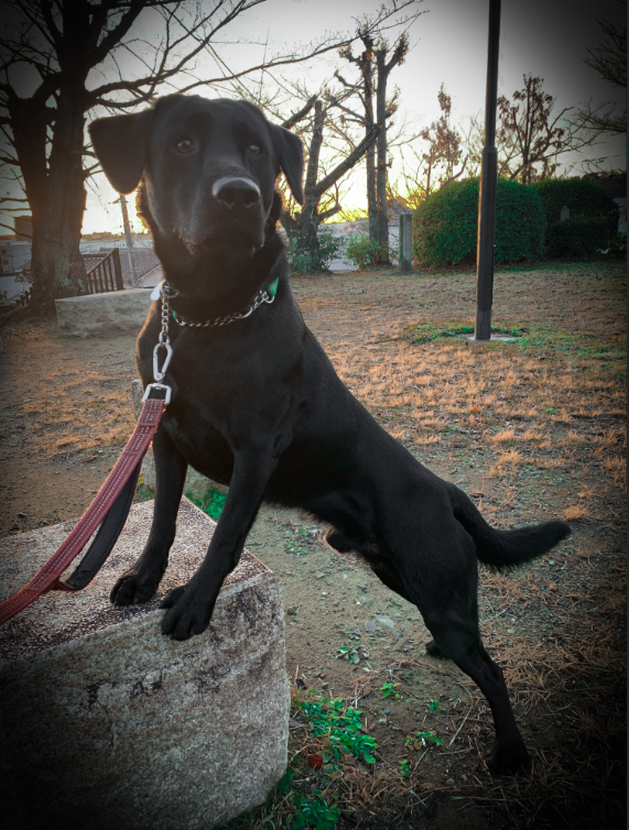 Screen Shot 2020-01-16 at 21.11.48.png