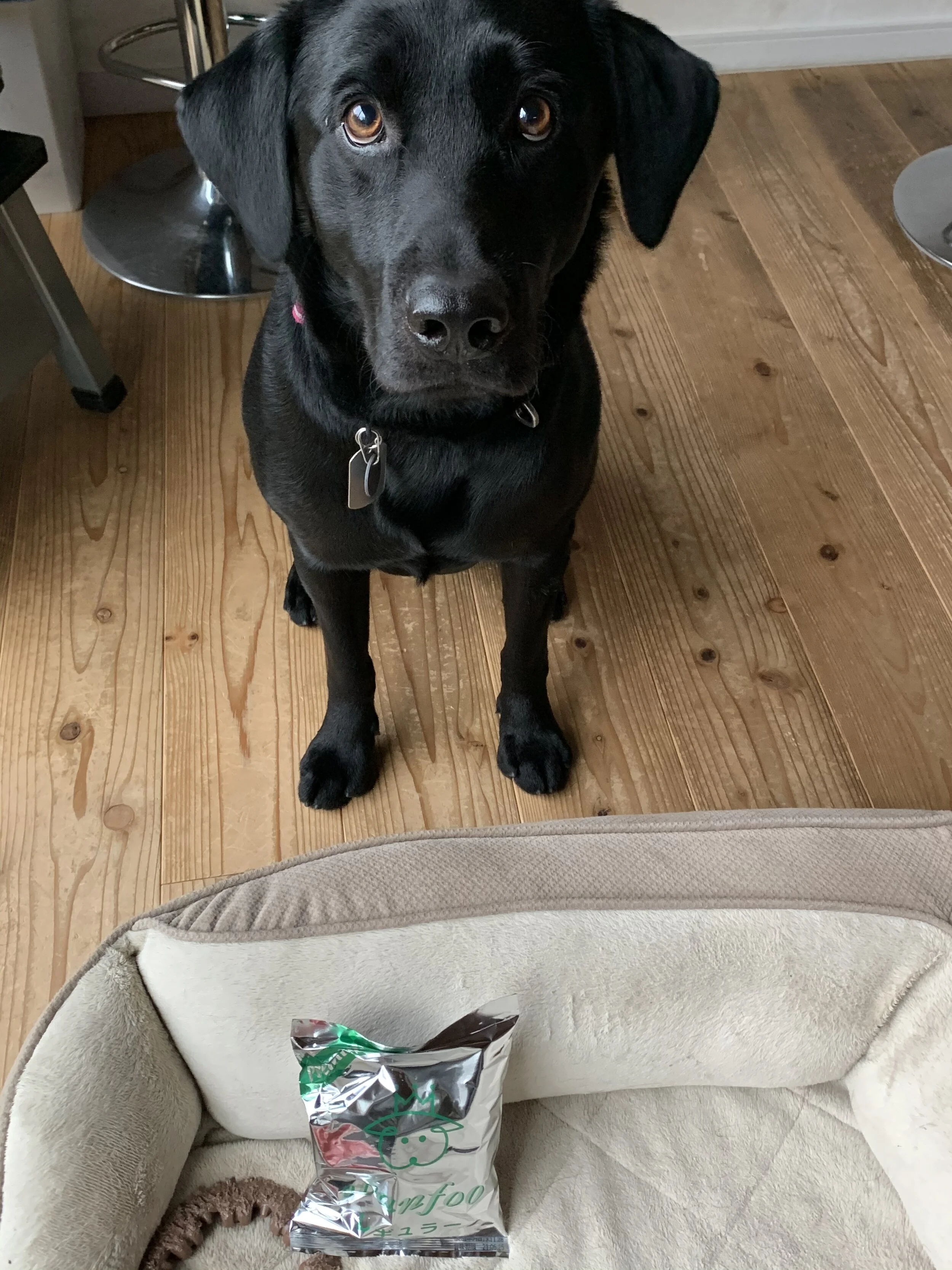 Photo 2020-02-01 8 00 24.jpg