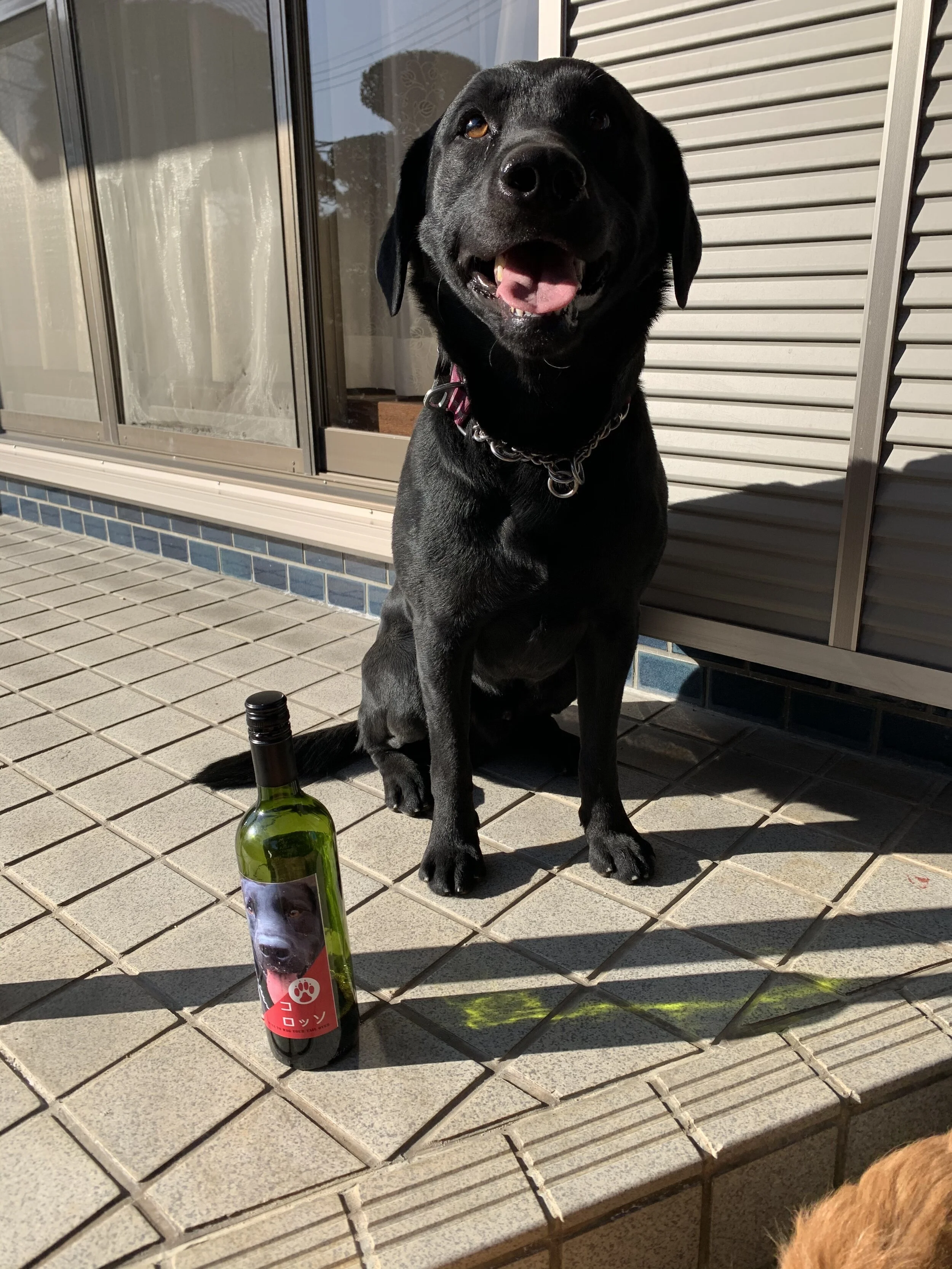 Photo 2020-02-11 15 12 03.jpg