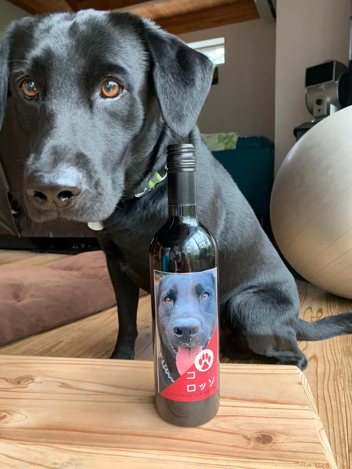 Photo 2019-06-08 10 41 50.jpg