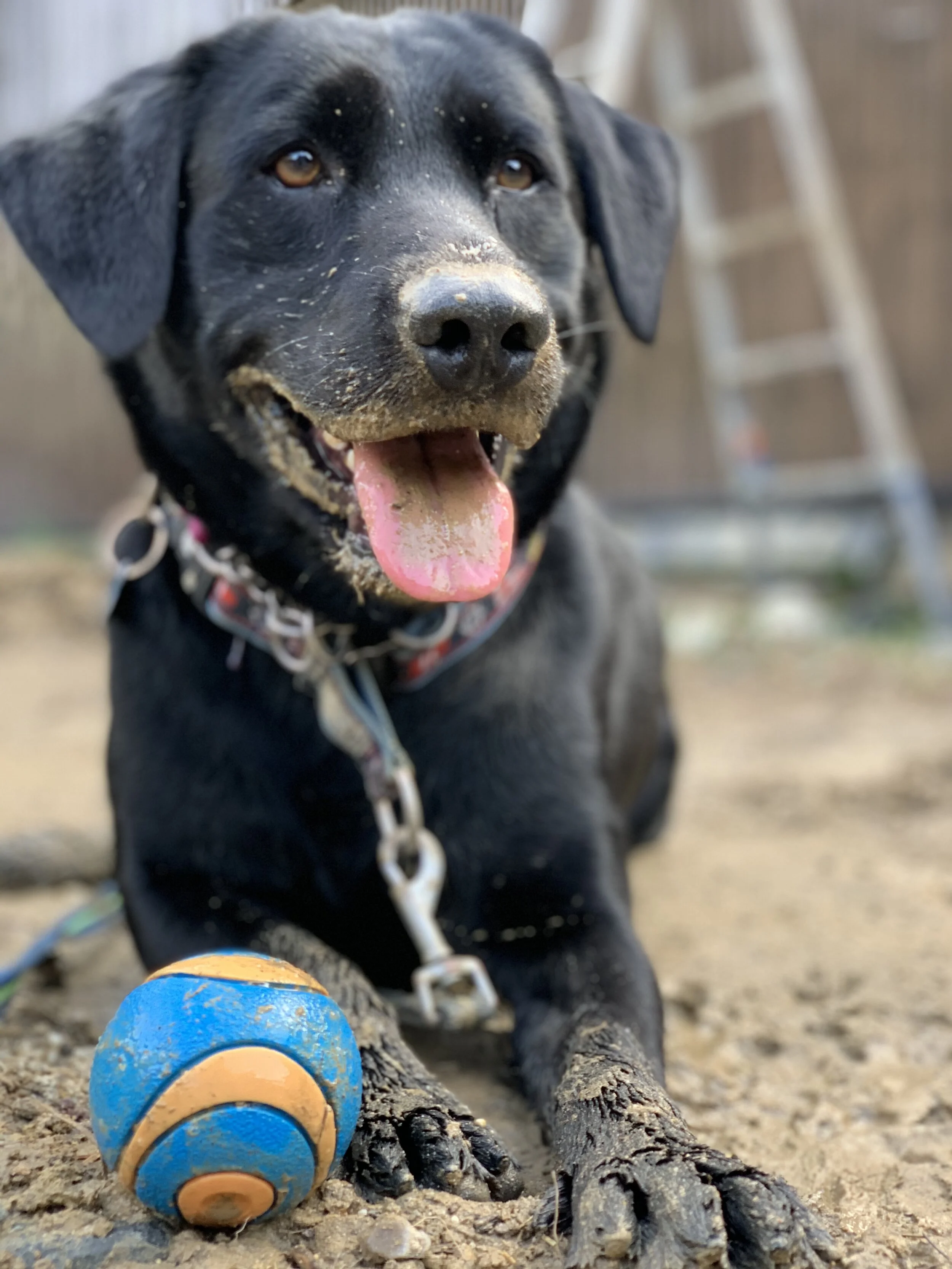 Photo 2020-04-18 15 48 17.jpg