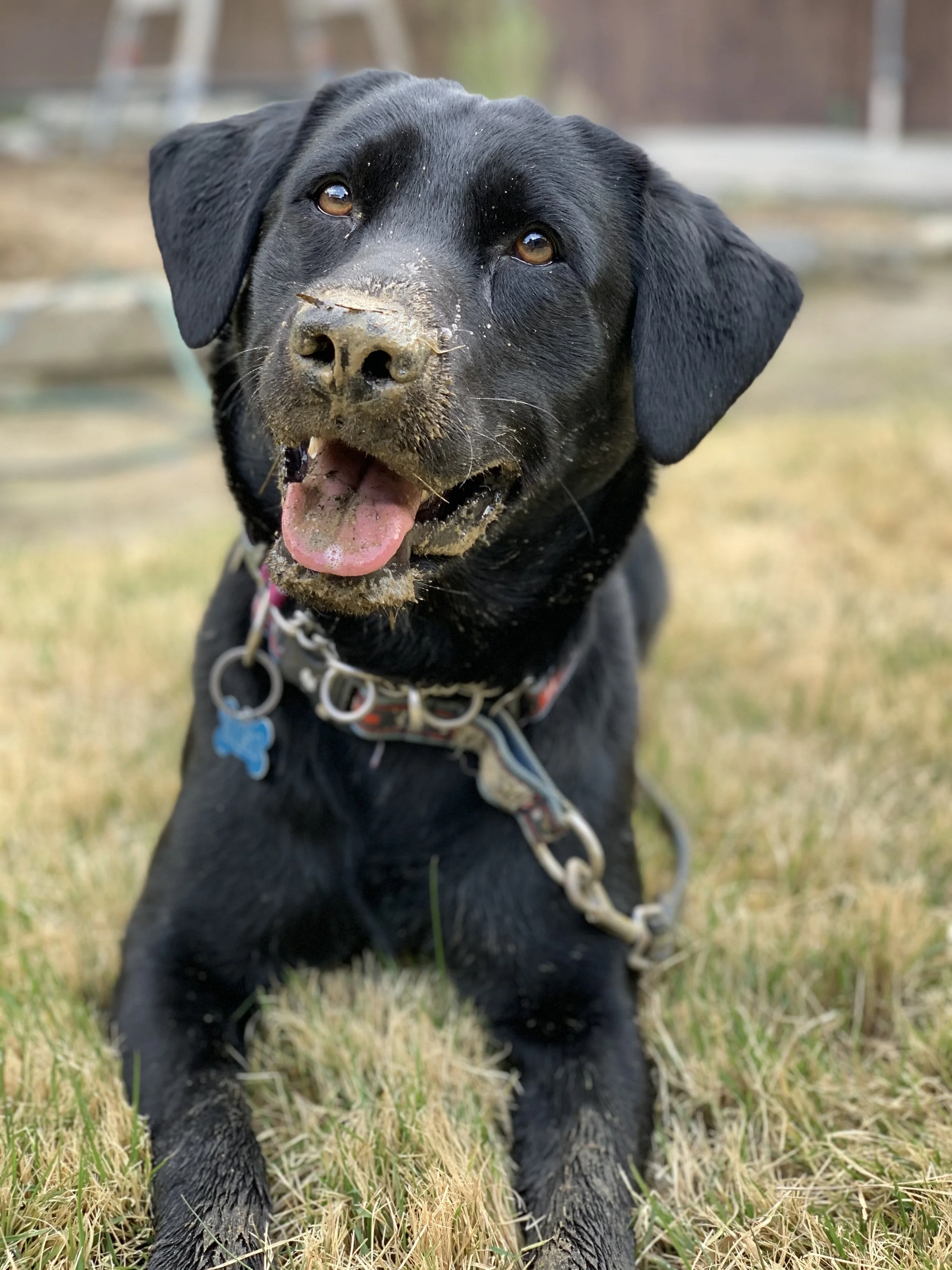 Photo 2020-04-18 15 51 47.jpg