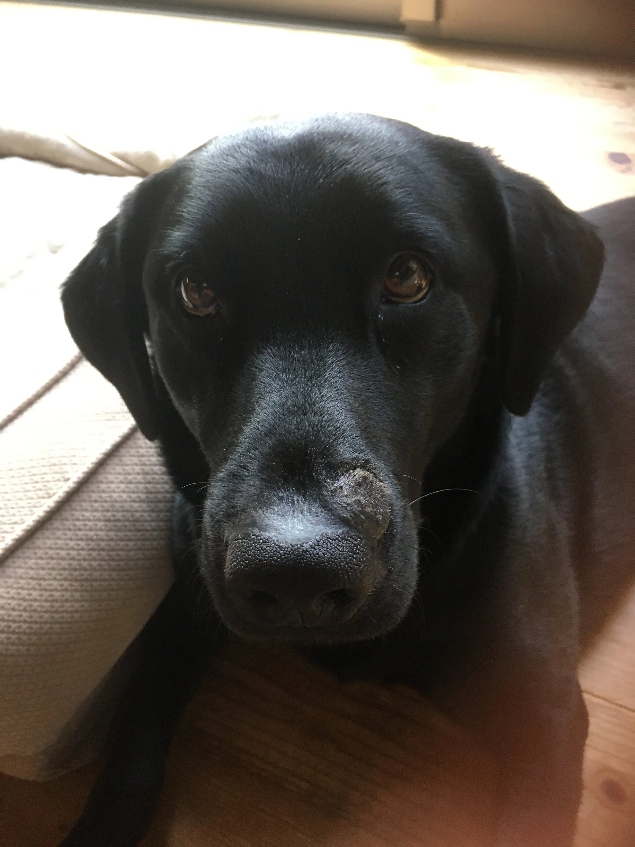 Photo 2020-04-24 7 29 05.jpg