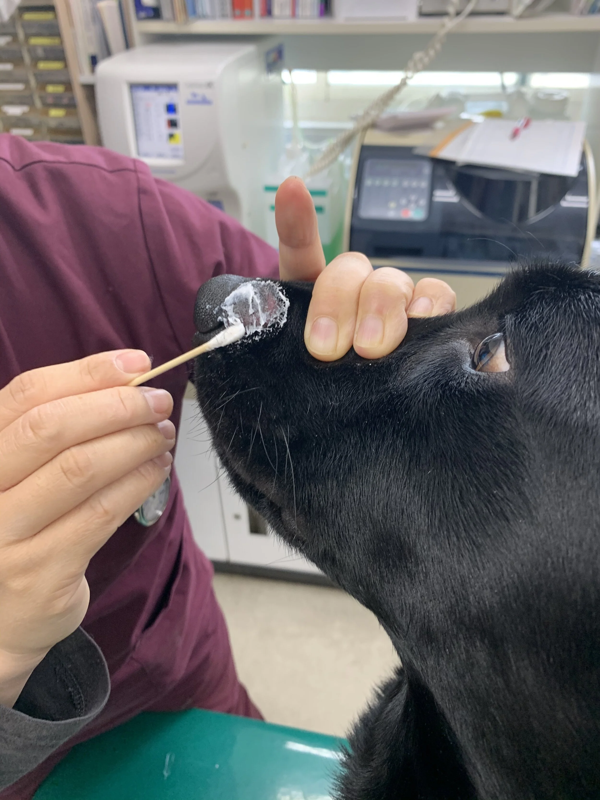 Photo 2020-04-24 11 01 47.jpg