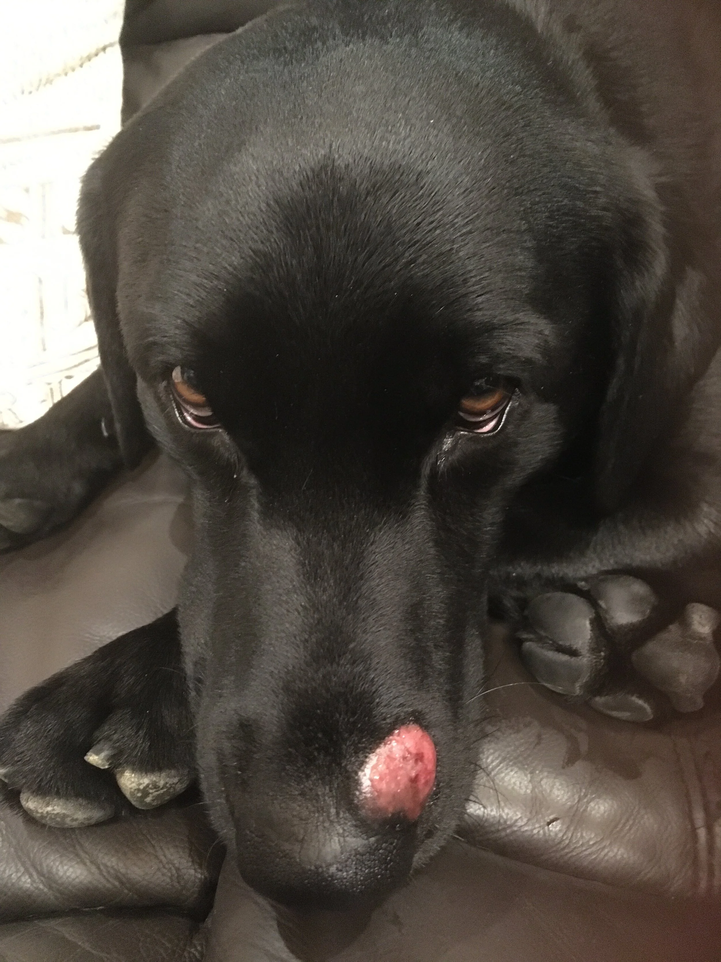 Photo 2020-04-25 20 20 01.jpg