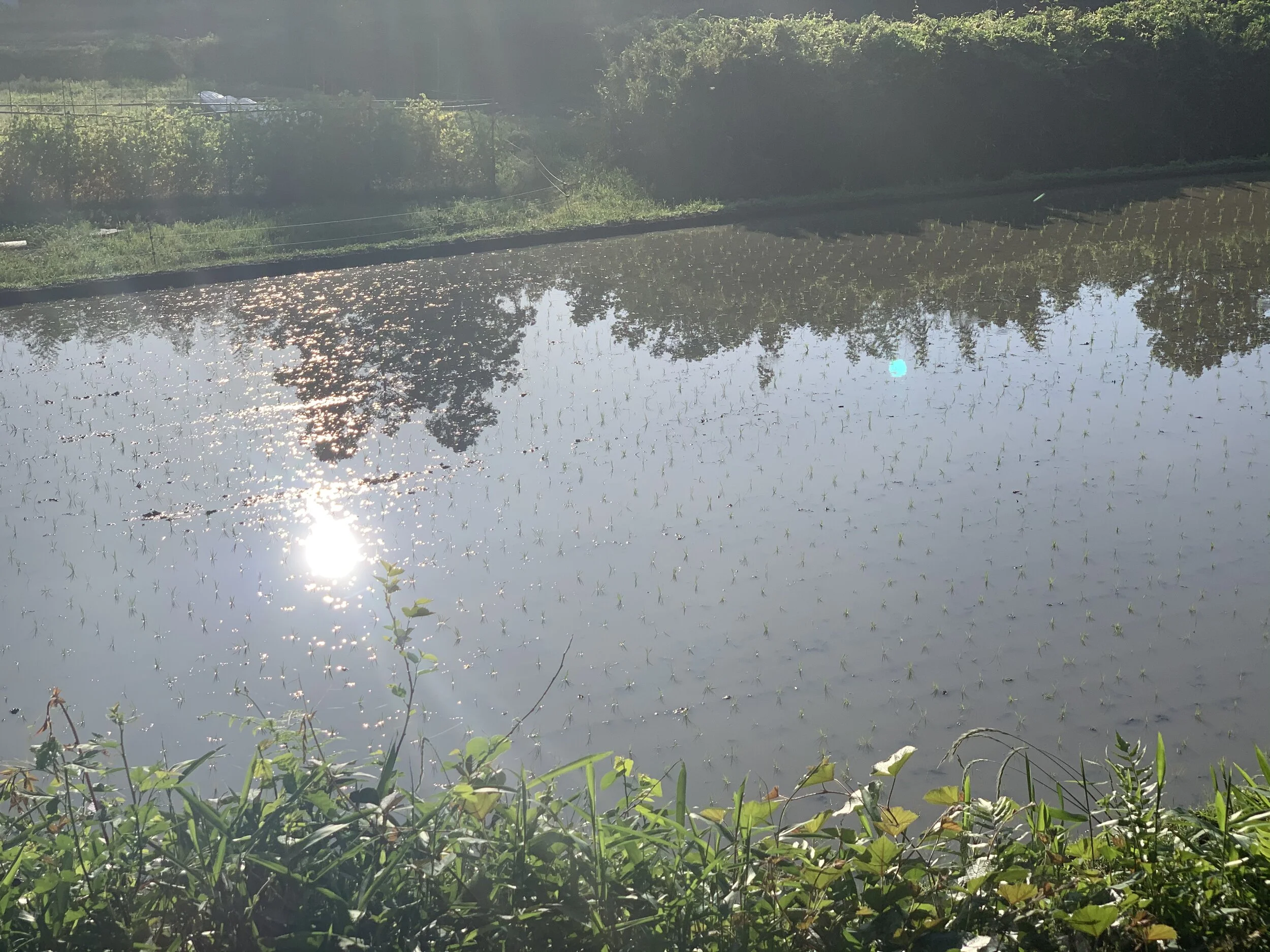 Photo 2020-05-23 6 28 42.jpg