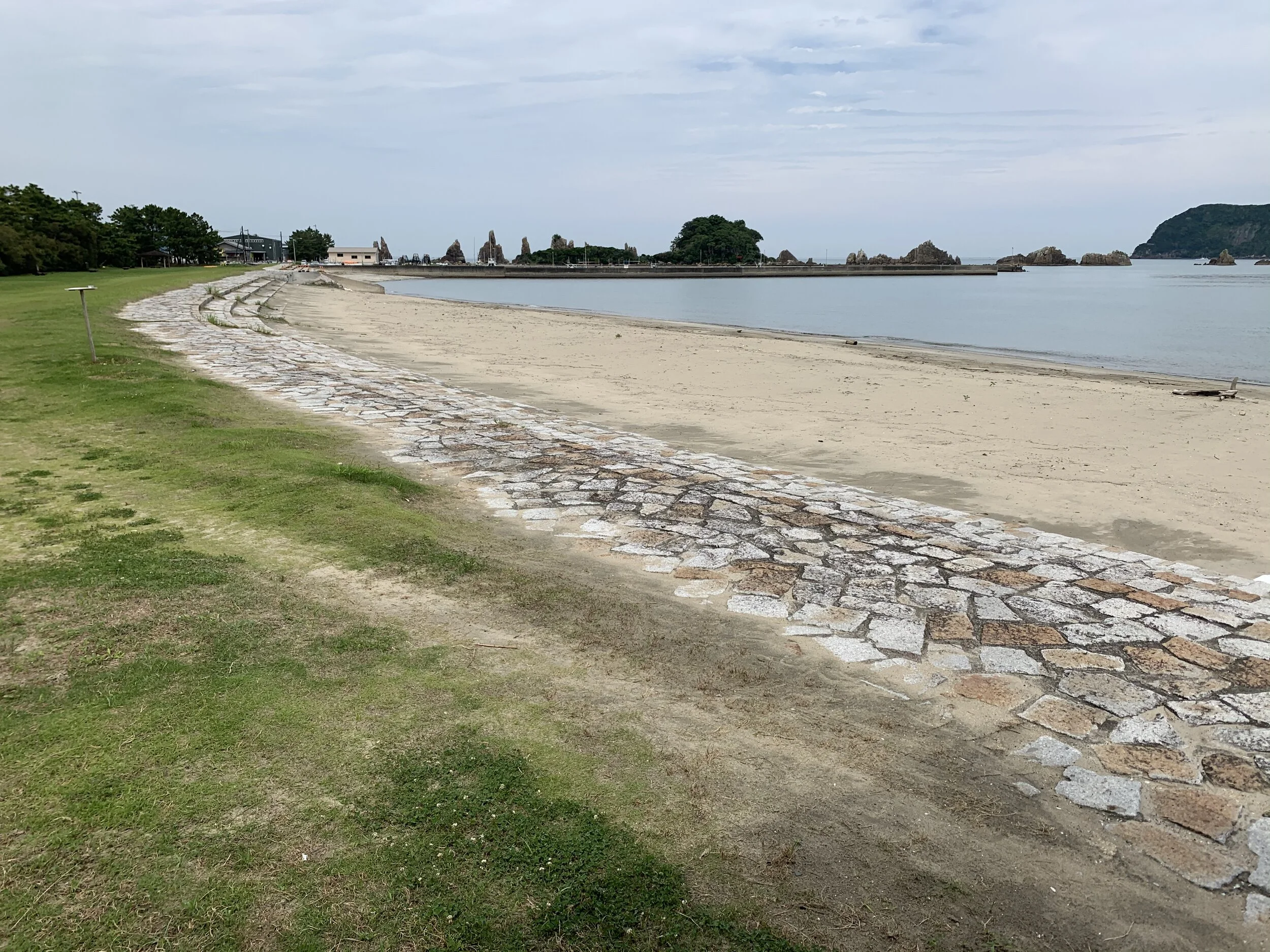 Photo 2020-06-20 13 58 00.jpg