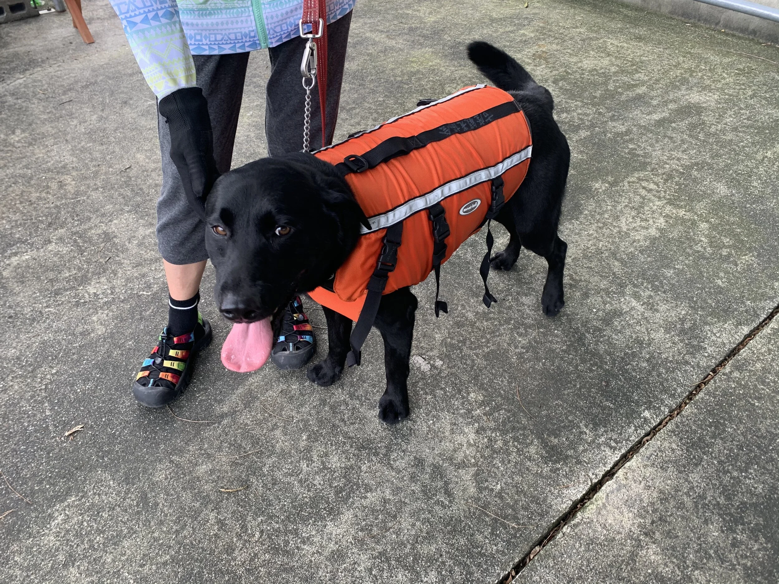 Photo 2020-06-21 8 53 37.jpg