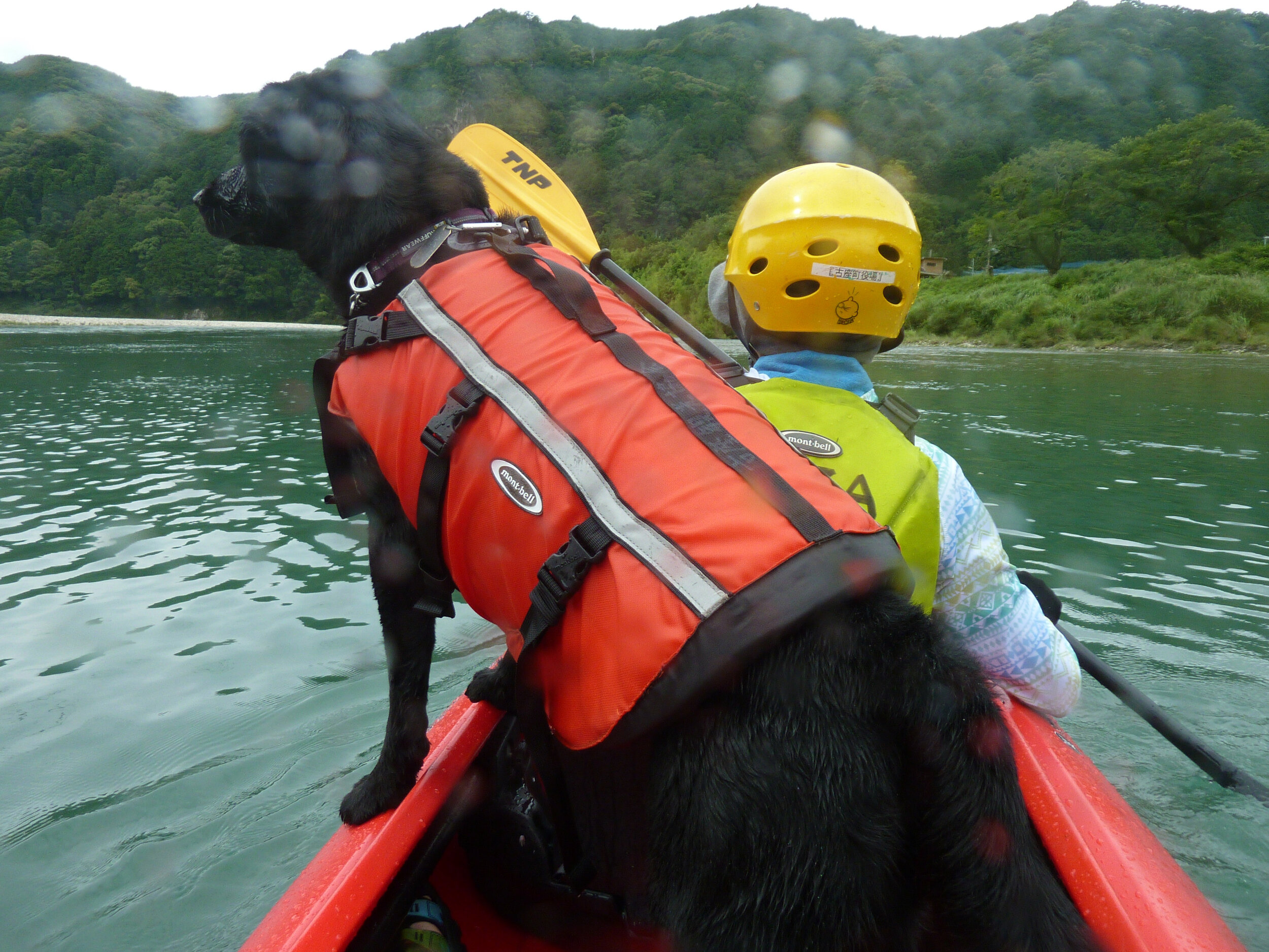 Photo 2020-06-28 11 09 19.jpg