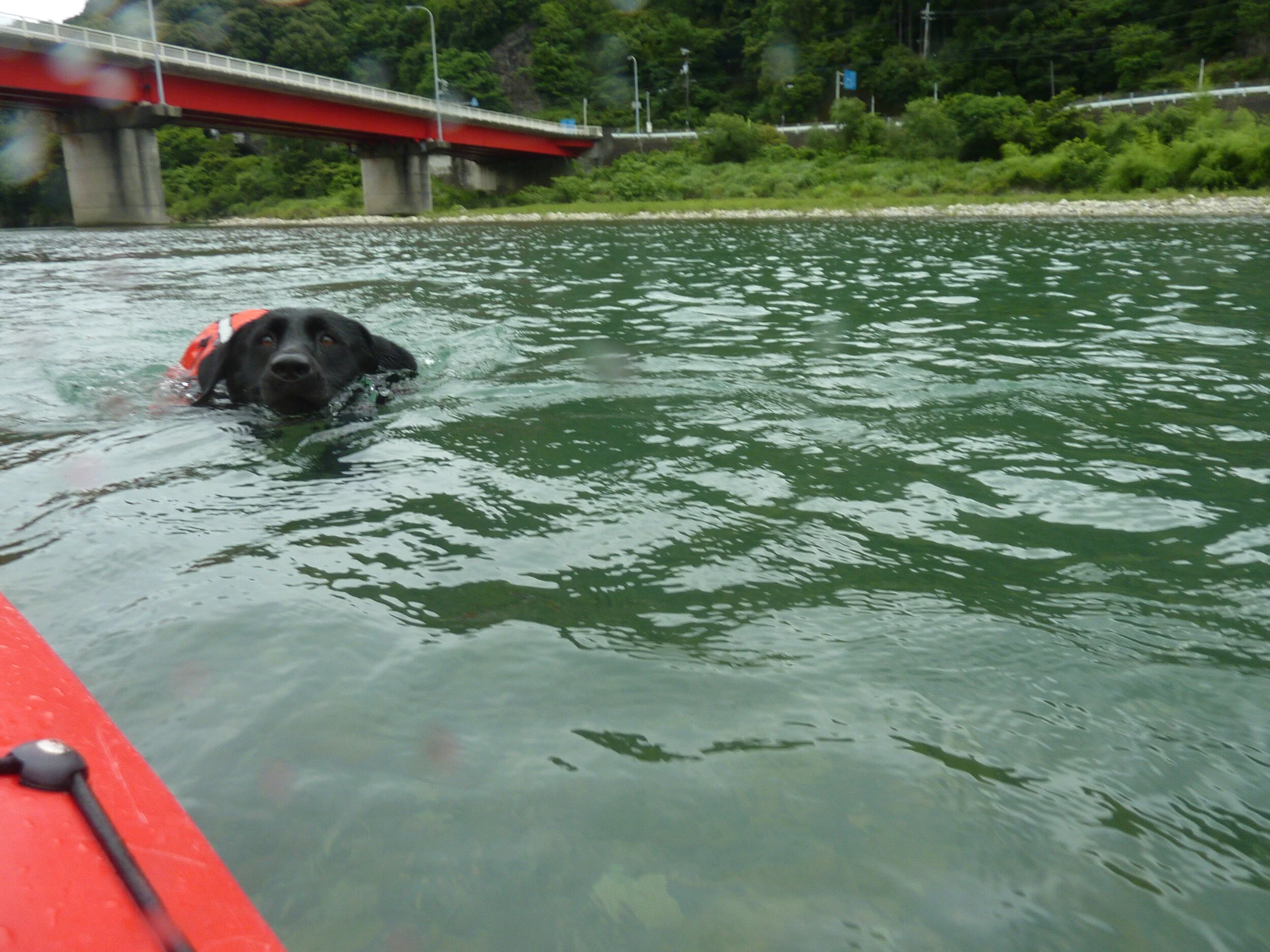 Photo 2020-06-28 11 11 19.jpg