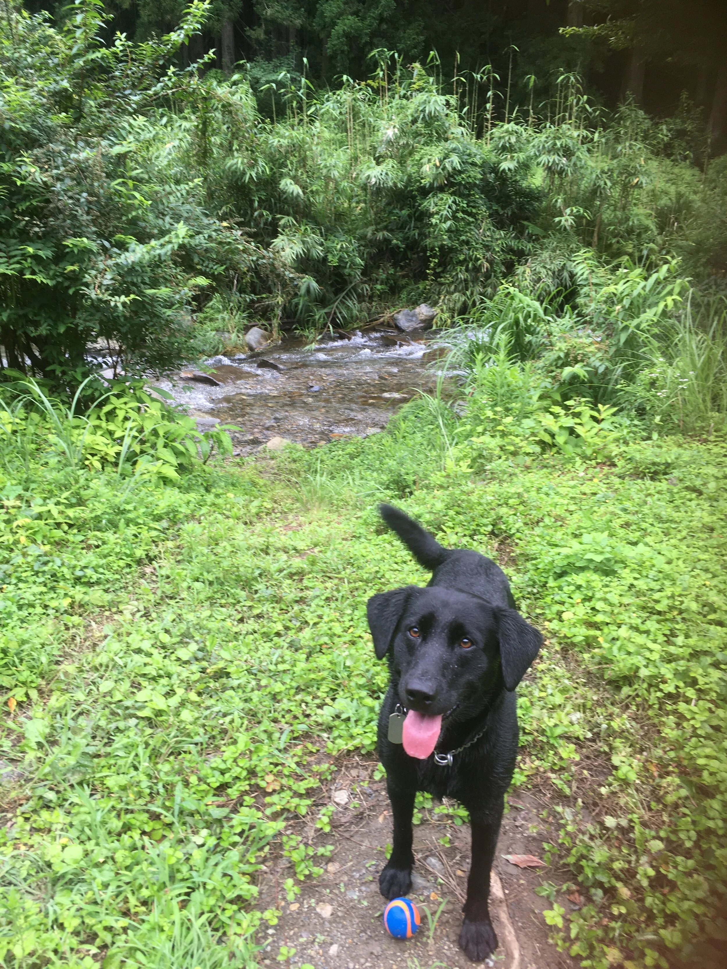 Photo 2020-07-24 13 52 19.jpg