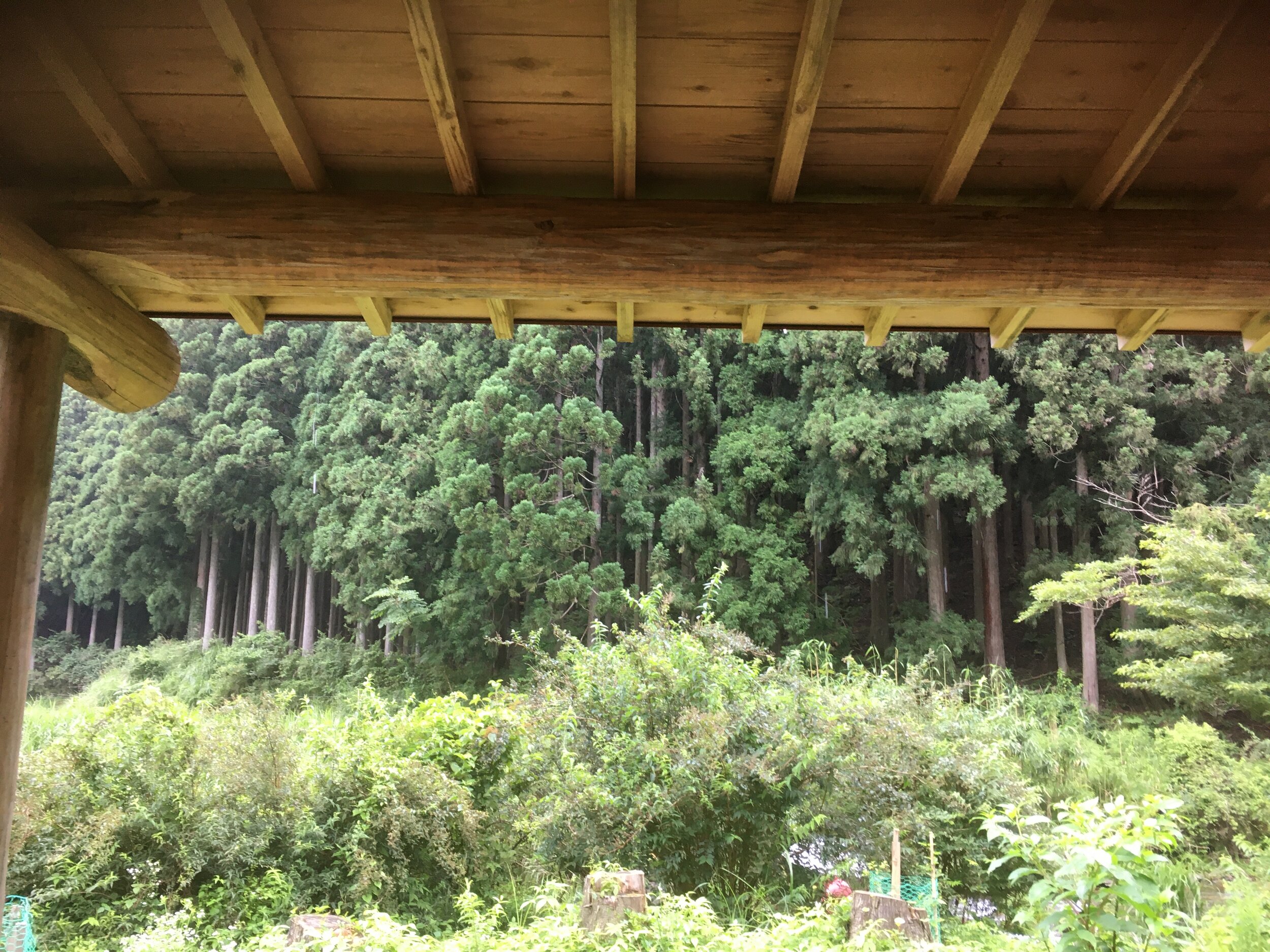 Photo 2020-07-24 14 02 12.jpg