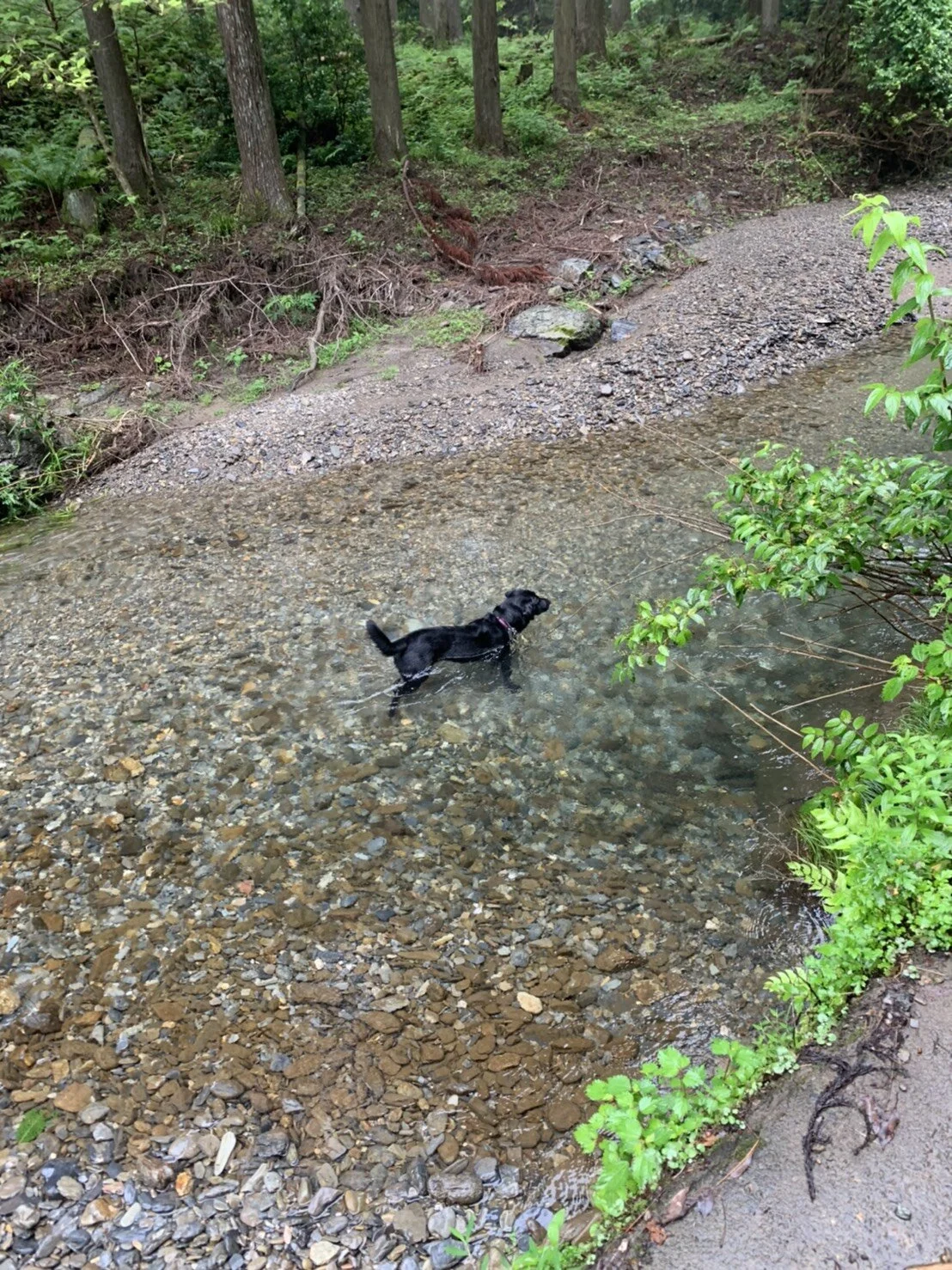 Photo 2020-07-25 17 50 12.jpg