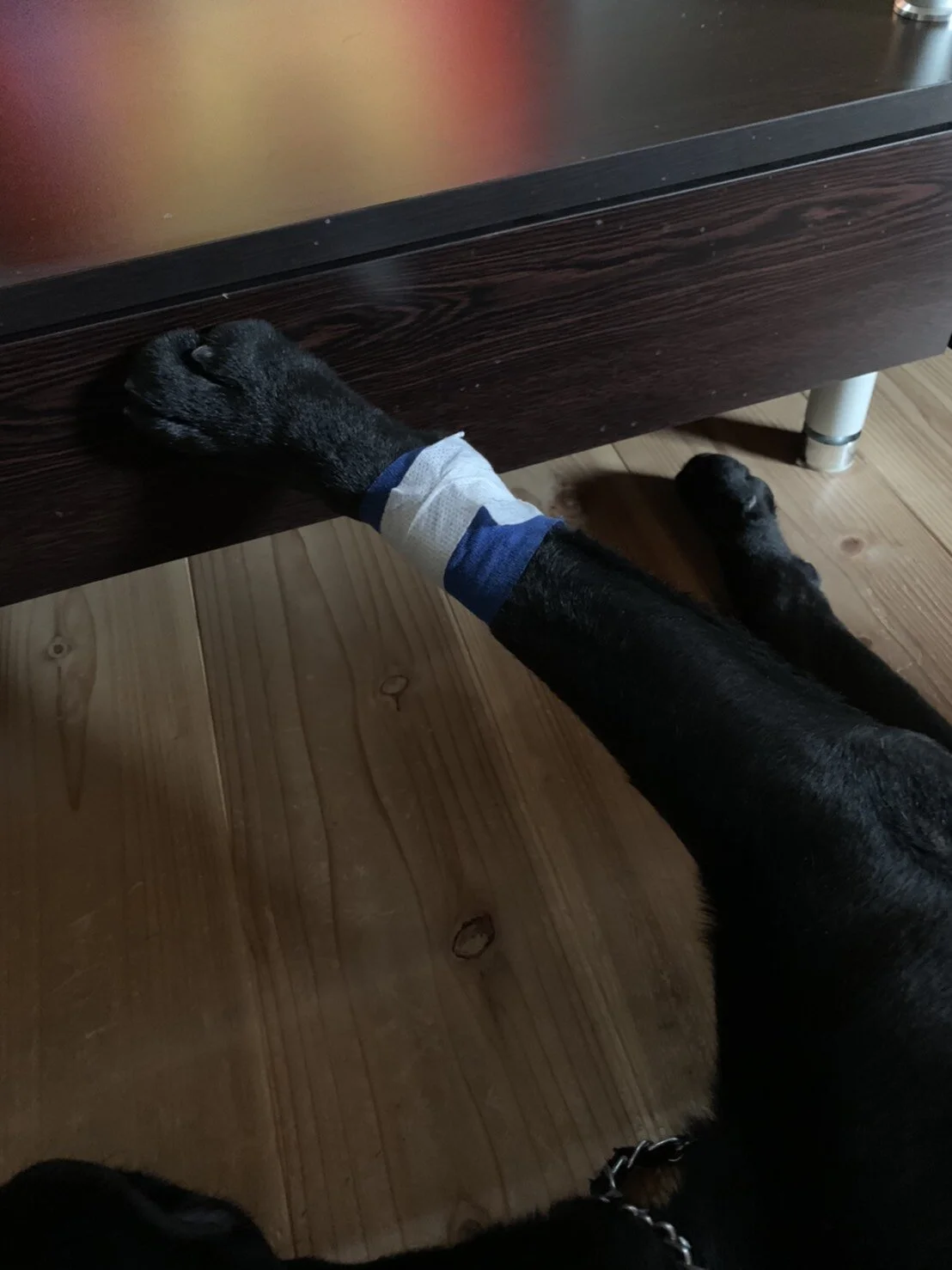 Photo 2020-07-25 17 51 20.jpg