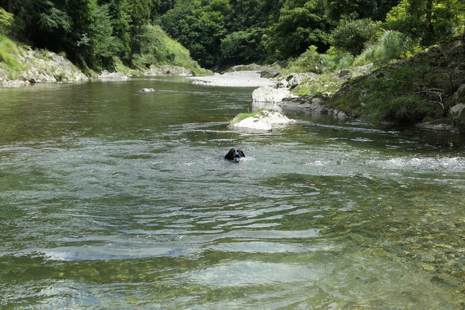 Photo 2020-08-11 19 57 06.jpg