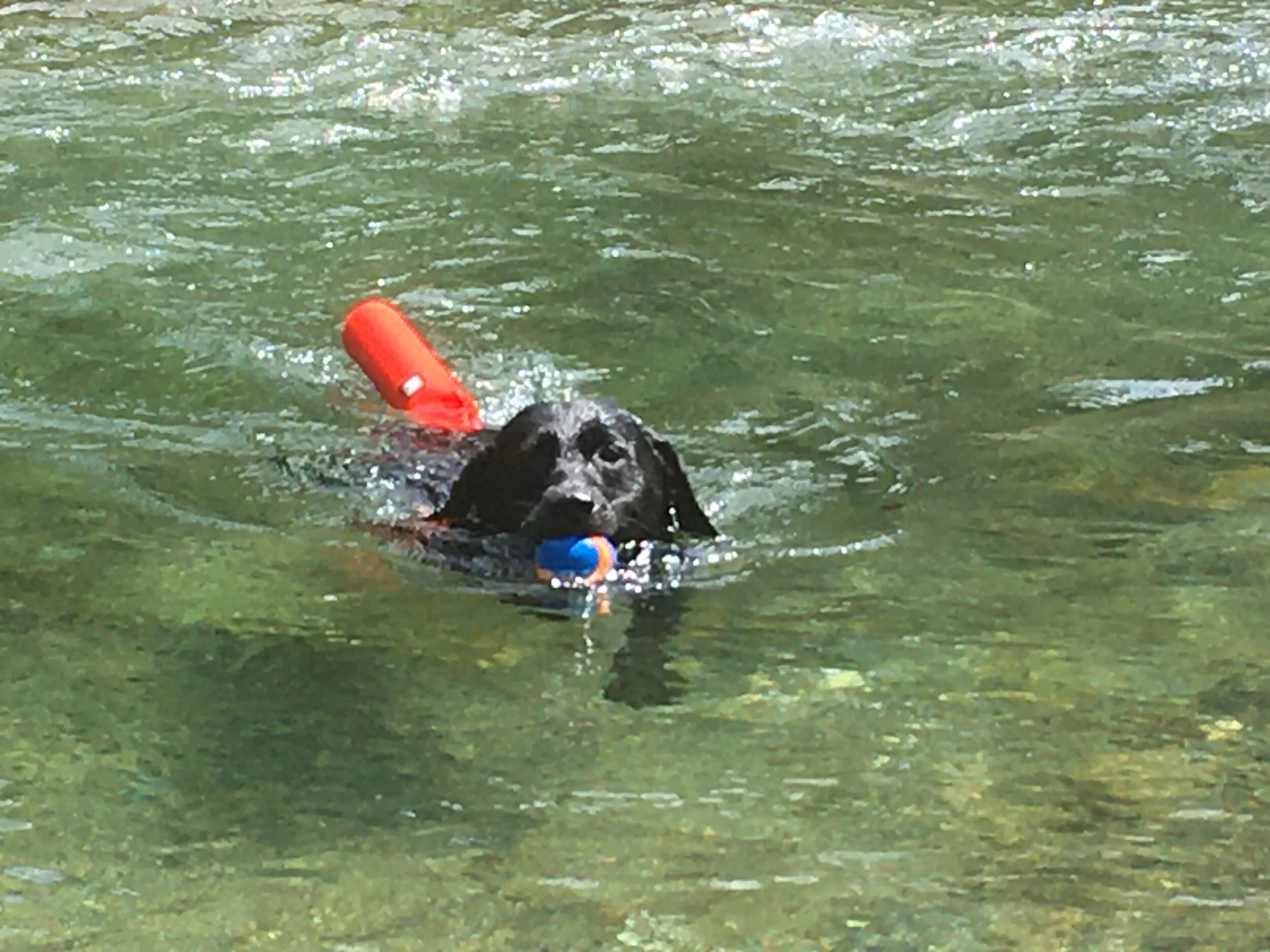 Photo 2020-08-16 10 54 46.jpg