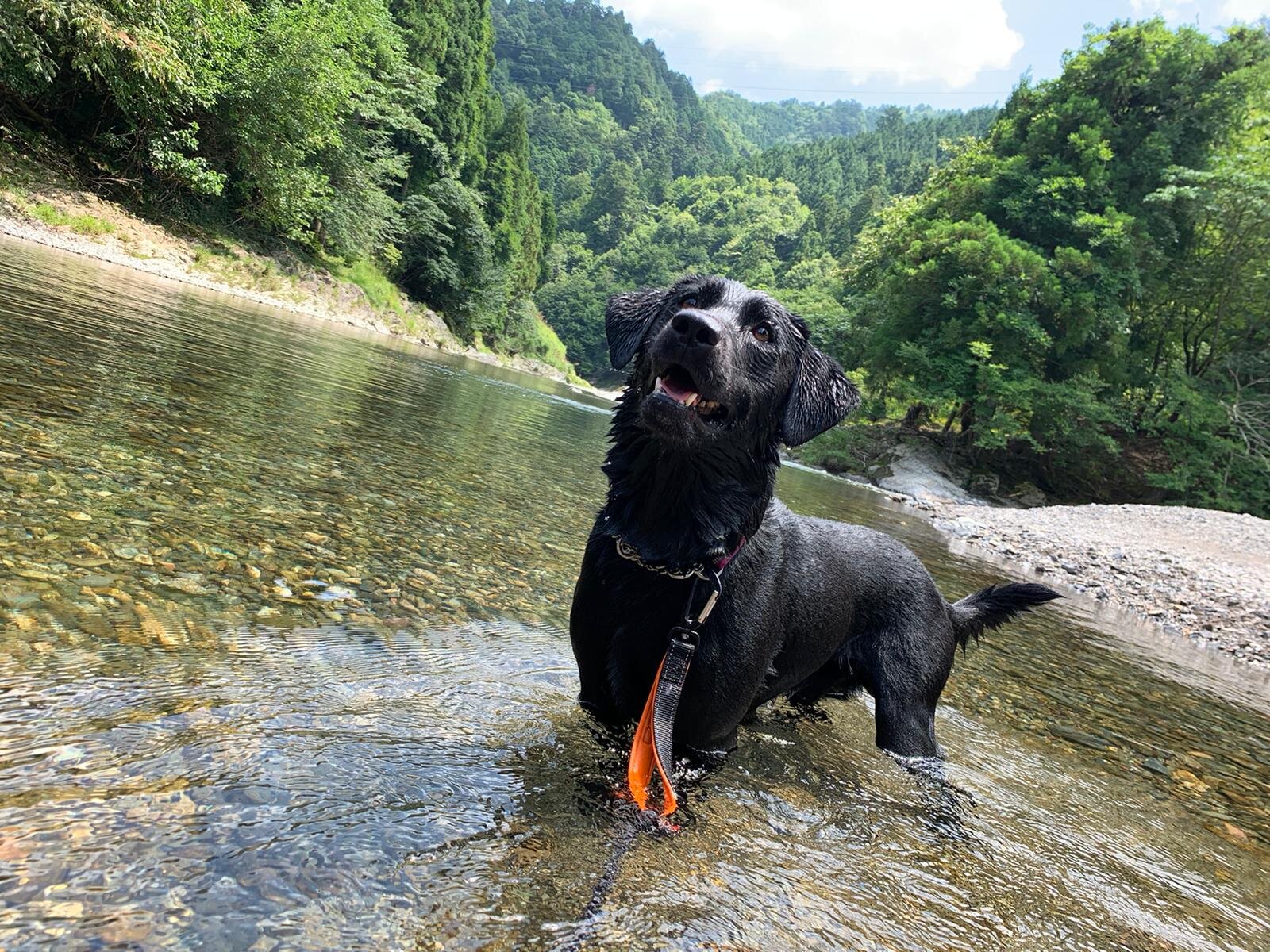 Photo 2020-08-16 15 28 38.jpg