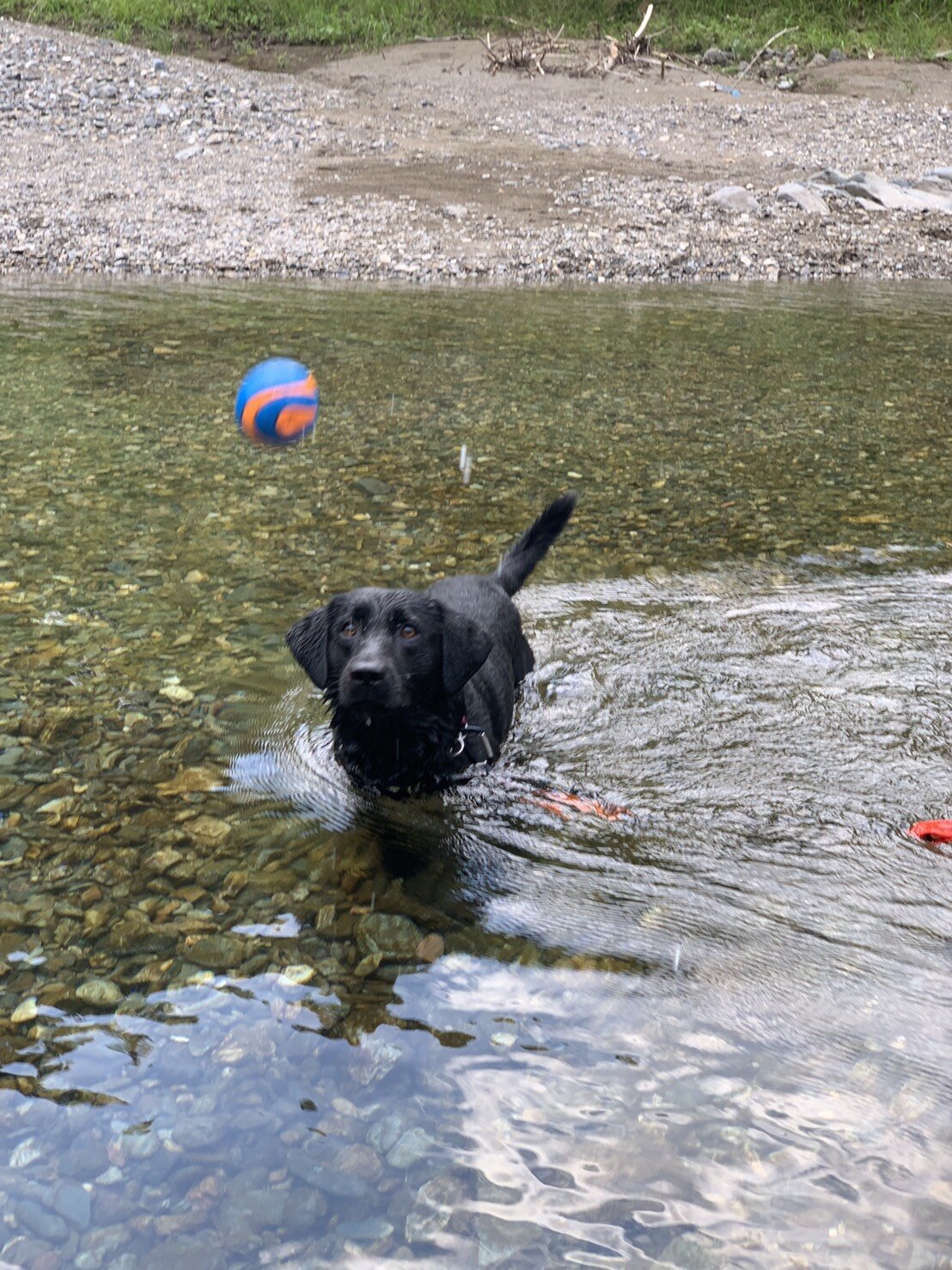 Photo 2020-08-16 15 39 25.jpg