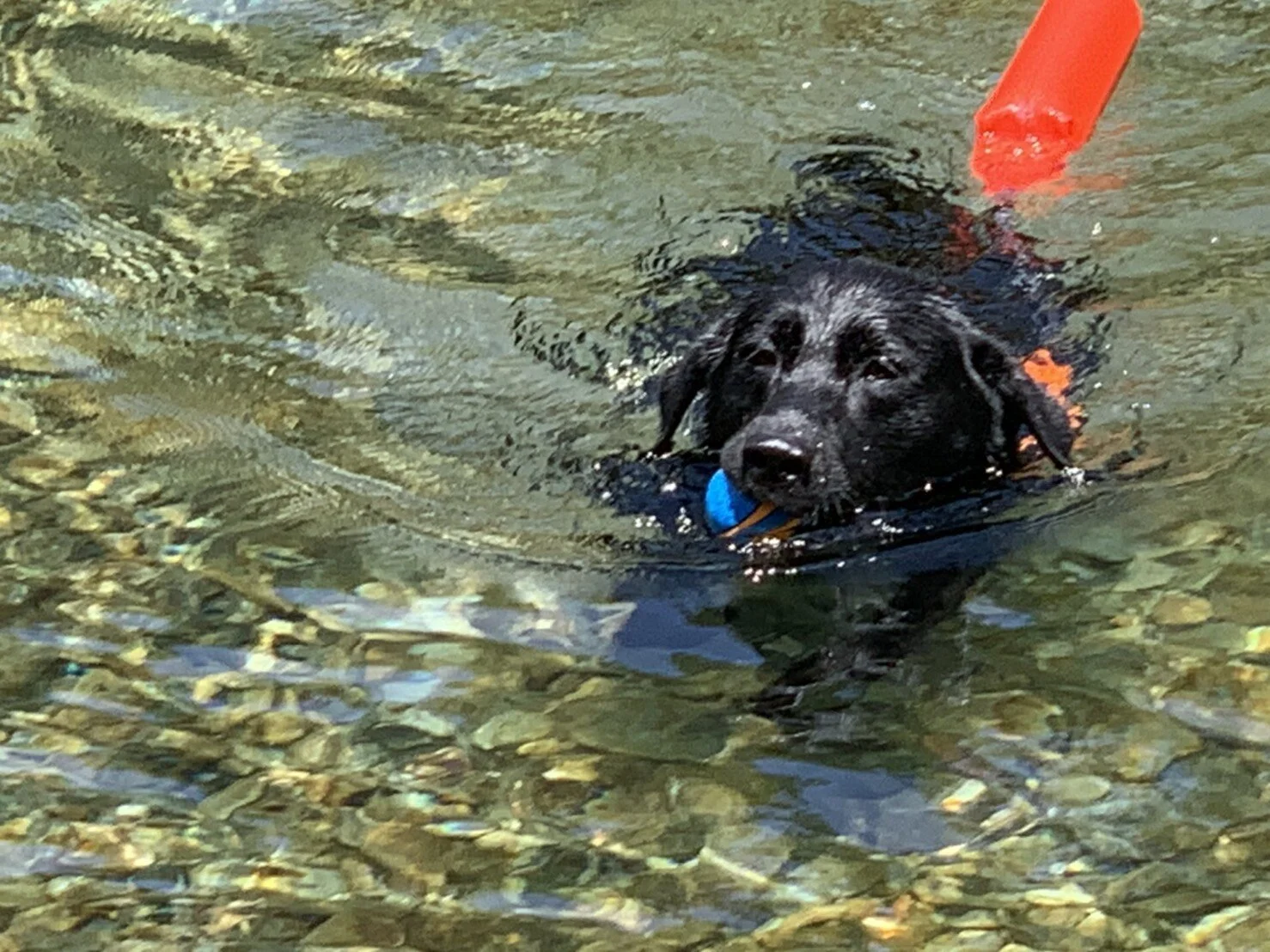 Photo 2020-08-16 15 39 07.jpg