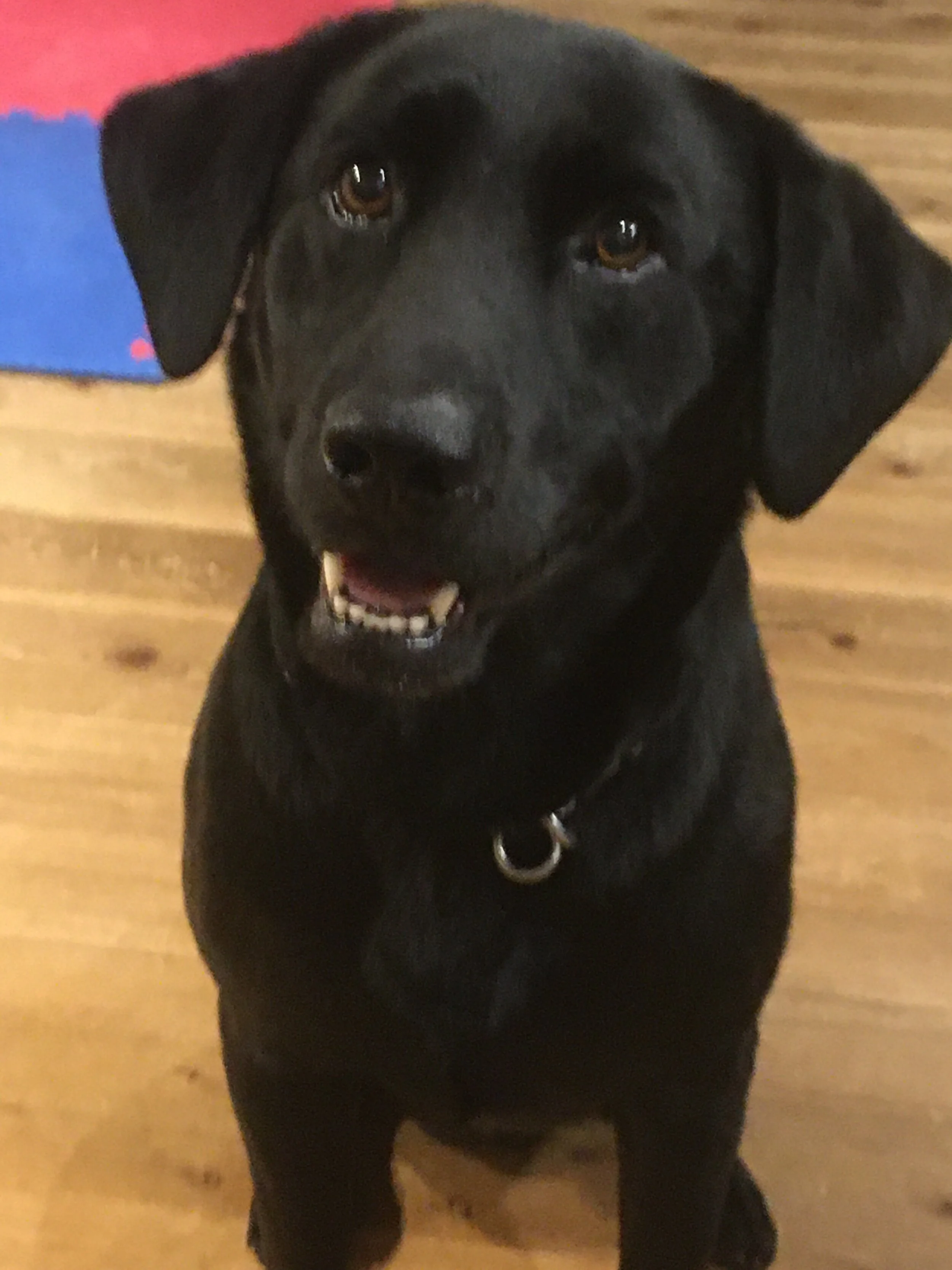 Photo 2020-08-07 19 14 09.jpg