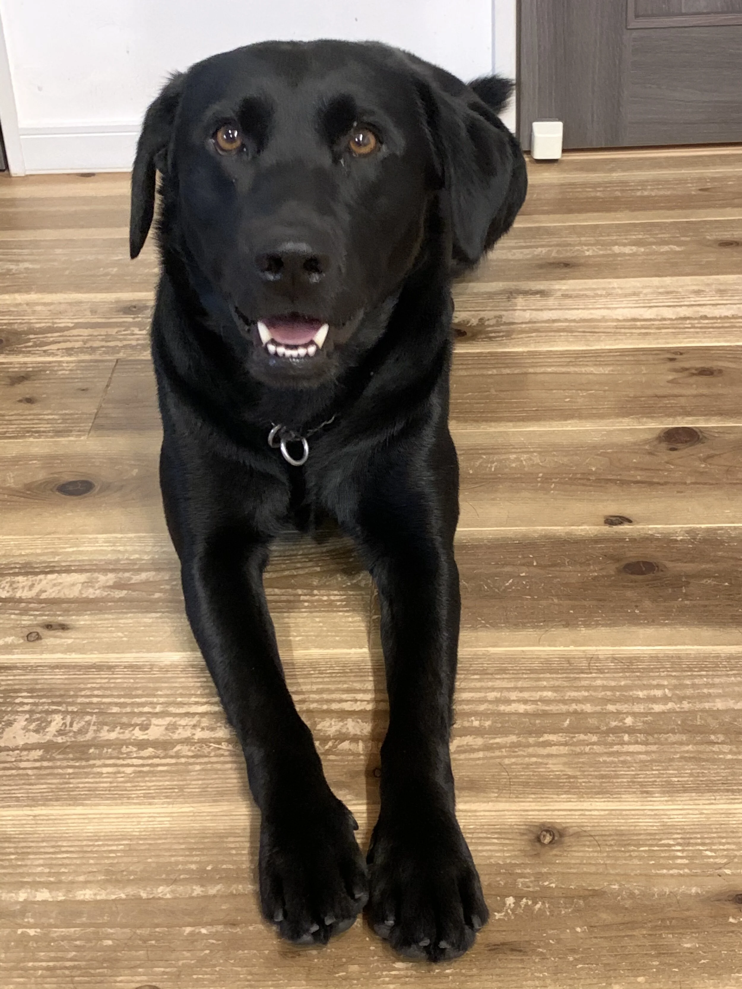 Photo 2020-06-11 18 25 51.jpg