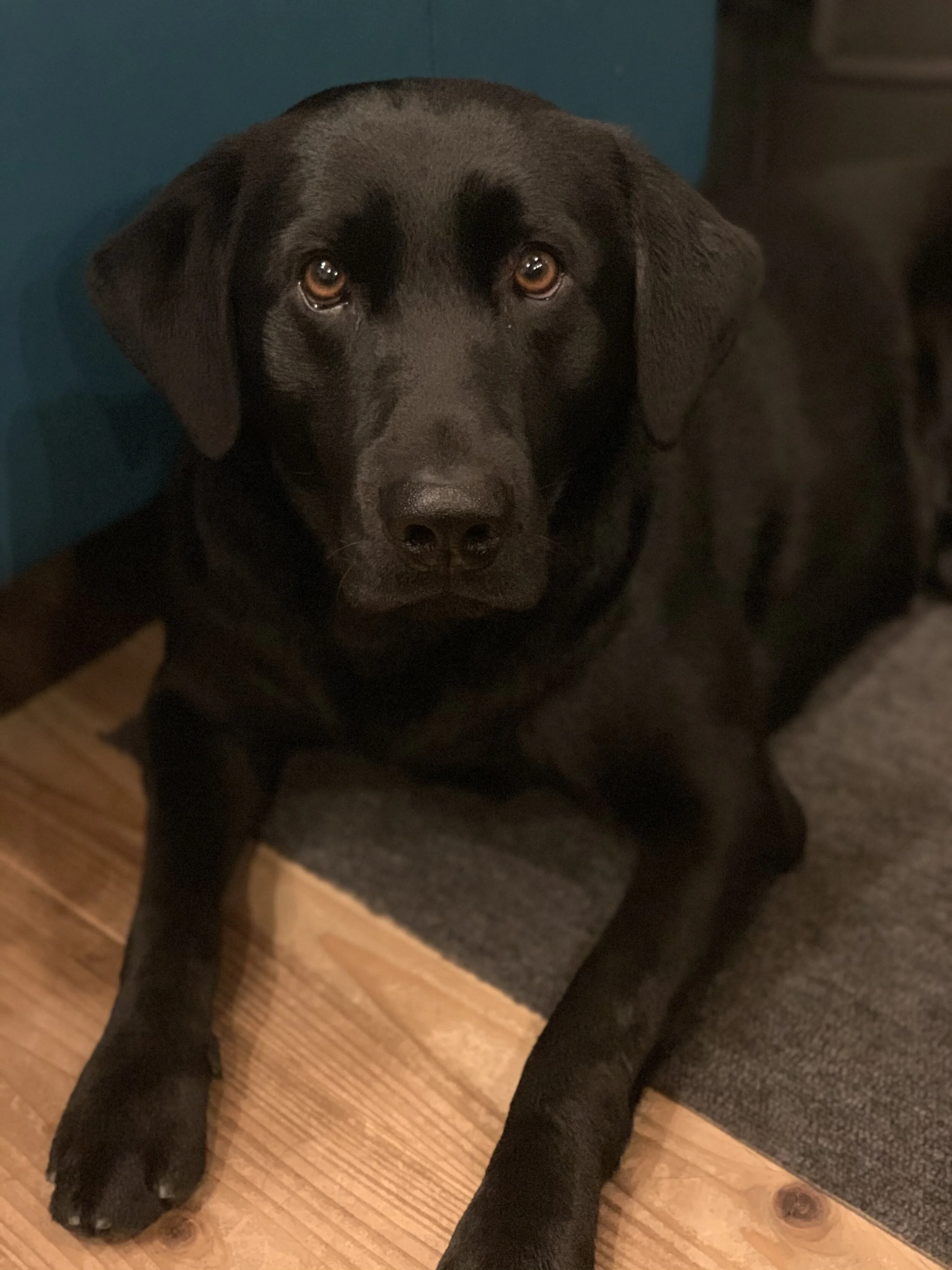 Photo 2020-02-22 17 31 30.jpg